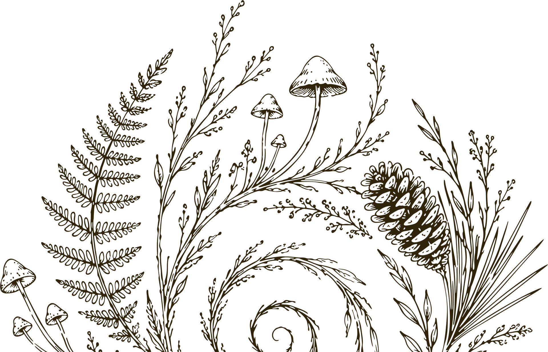 Lynne Herbert spiral logo