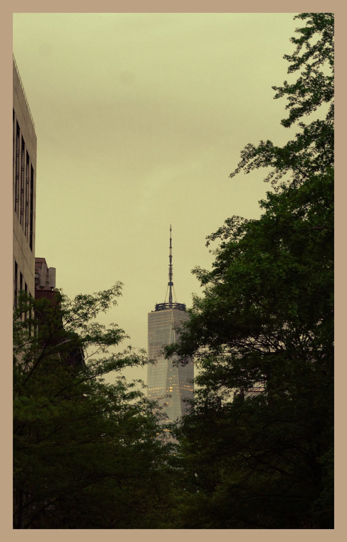 View of the One World Trade Center skyscraper framed by green leaves and trees, with a cloudy sky in the background.