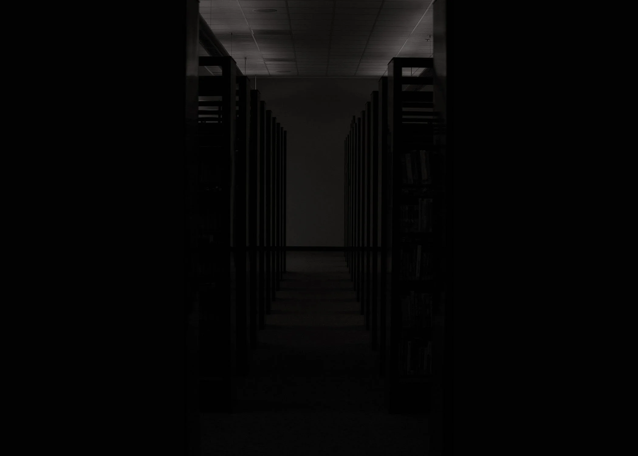 Dark hallway with bookshelves on both sides, dim lighting, with a faint light source at the end.