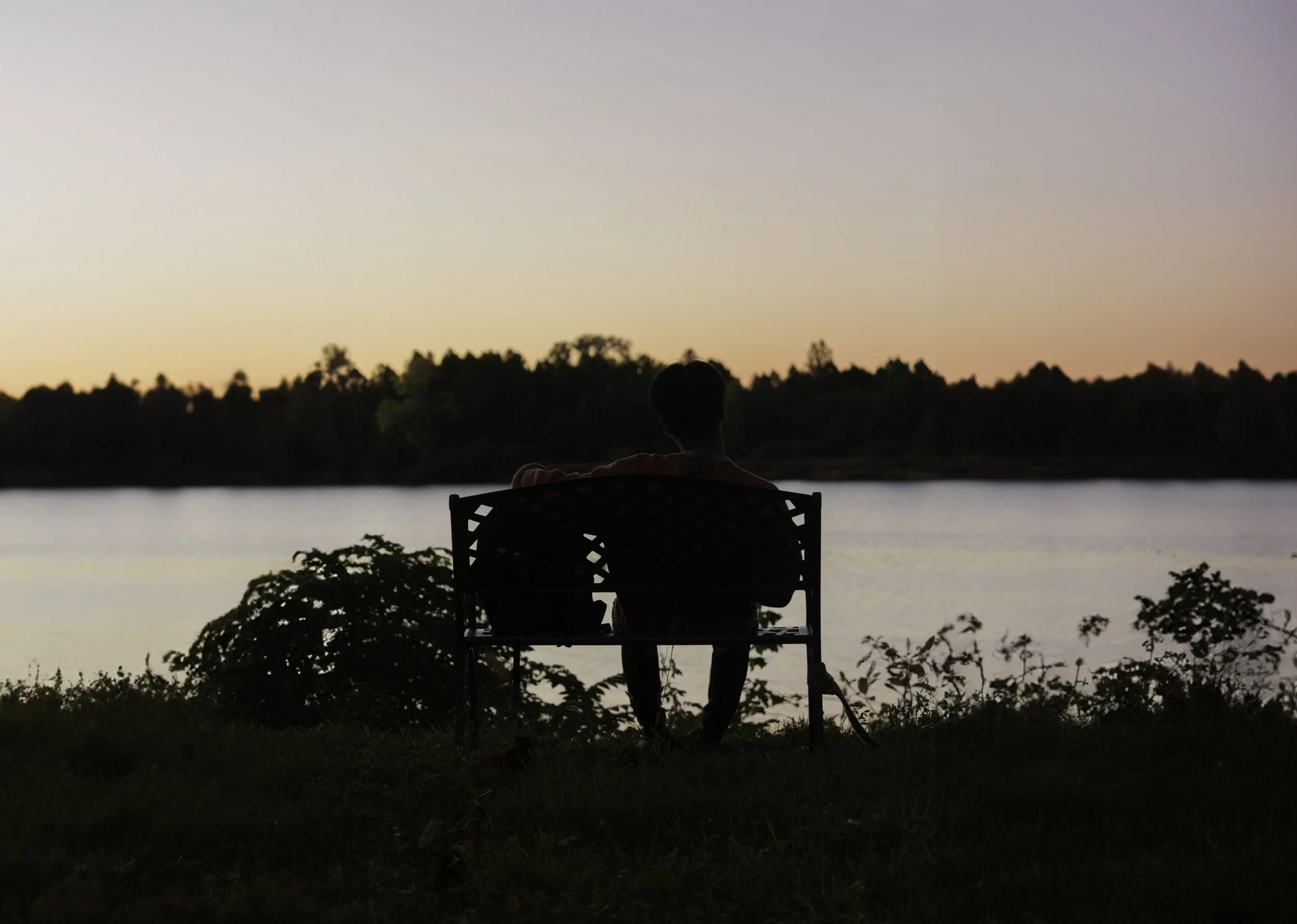 Person sitting on bench by water at sunset, facing the horizon, with trees in the background.