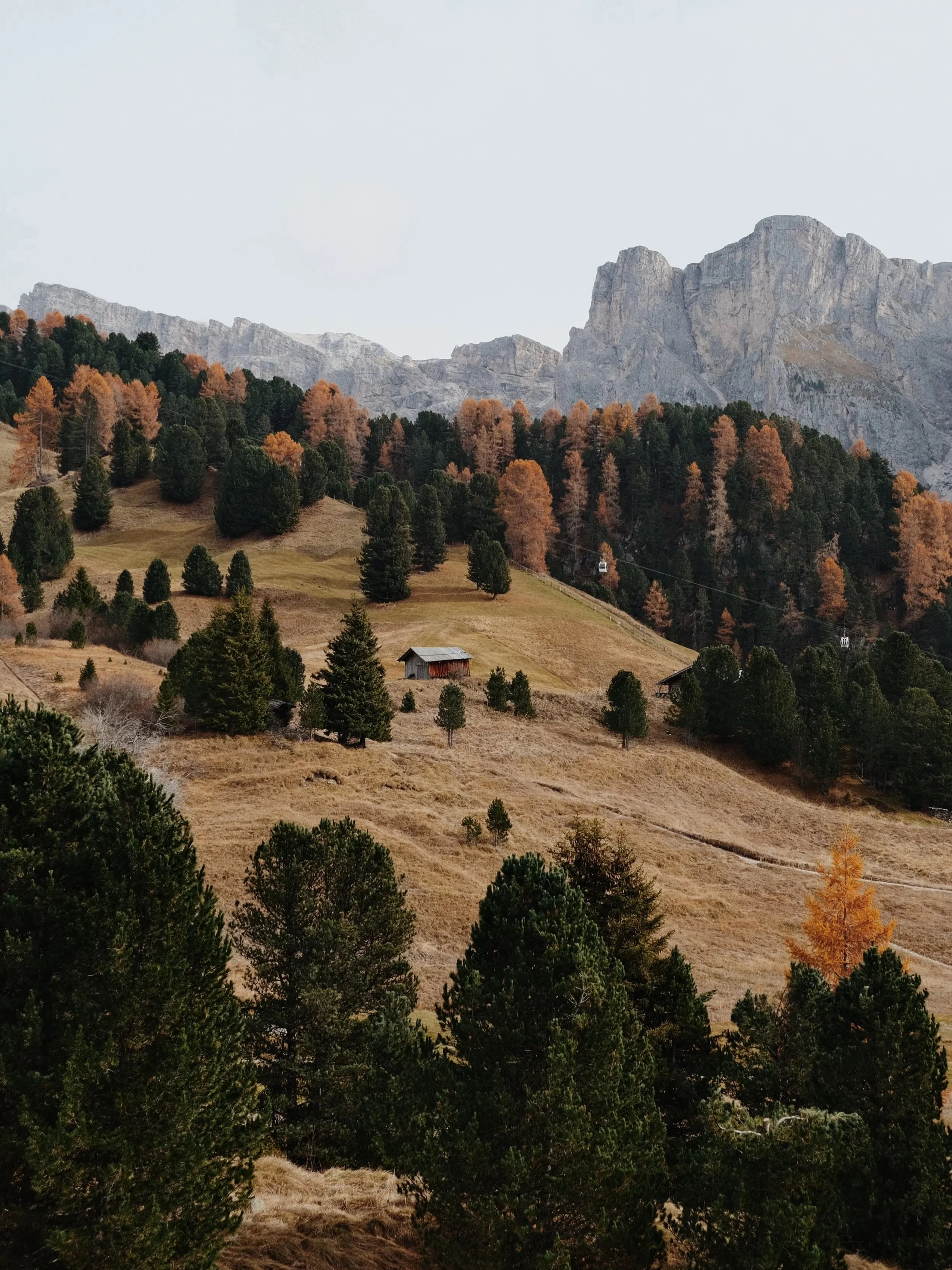 DSCF6893+2.jpg