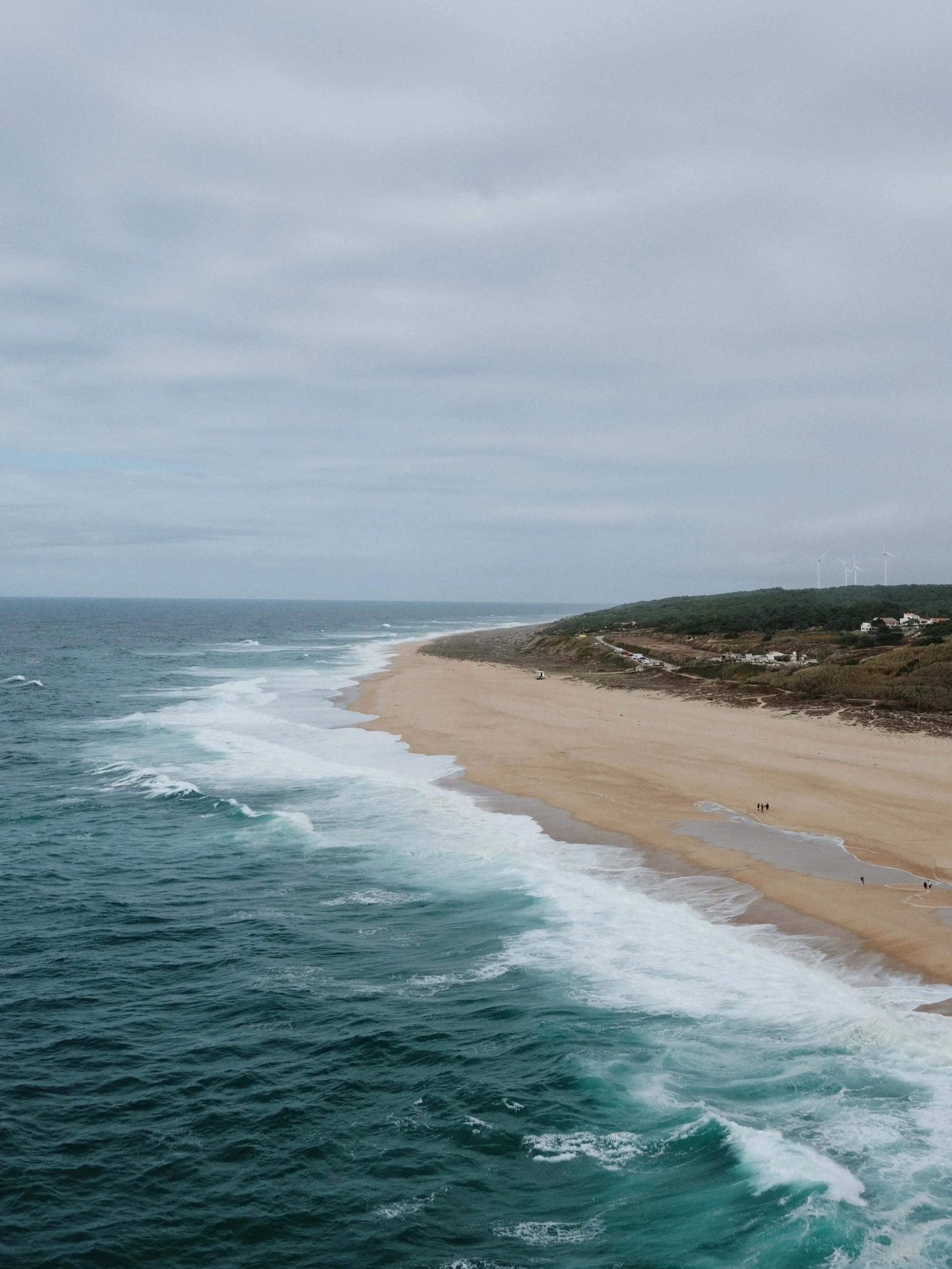 DSCF5798.jpg