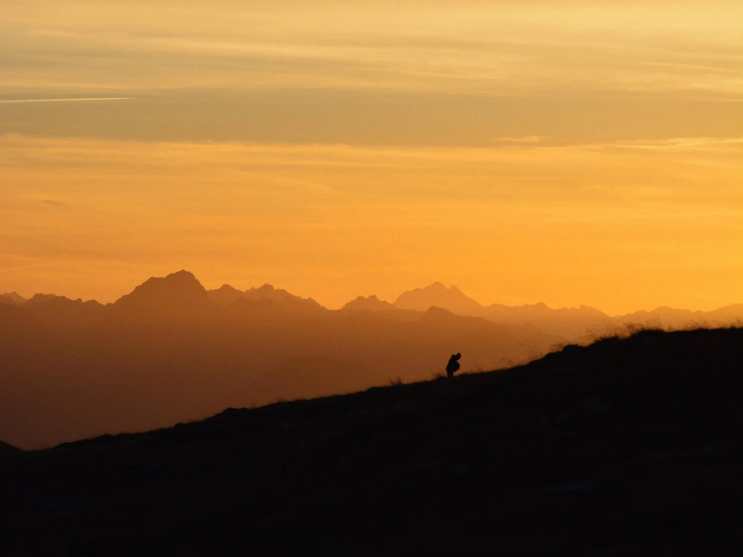 IMG_7460+2.jpg