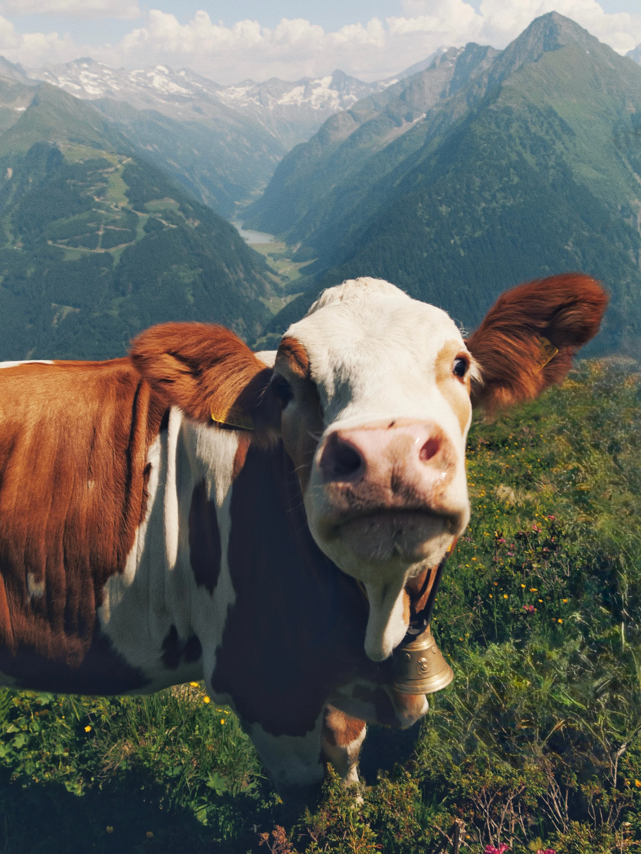Mayrhofen Tourism