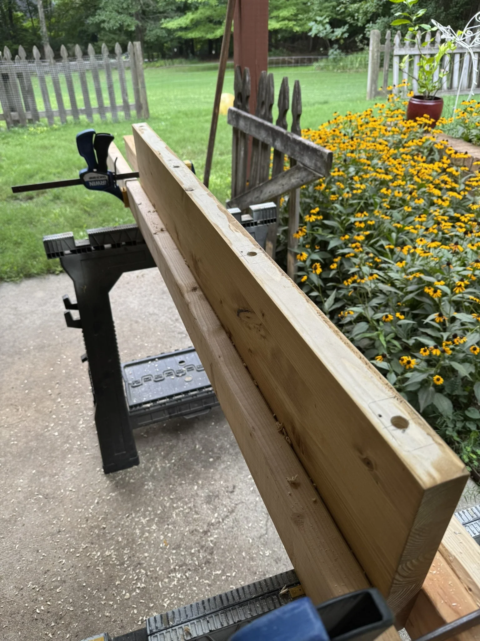Wooden plank secured with clamps on a sawhorse in a backyard, surrounded by greenery and flowers.