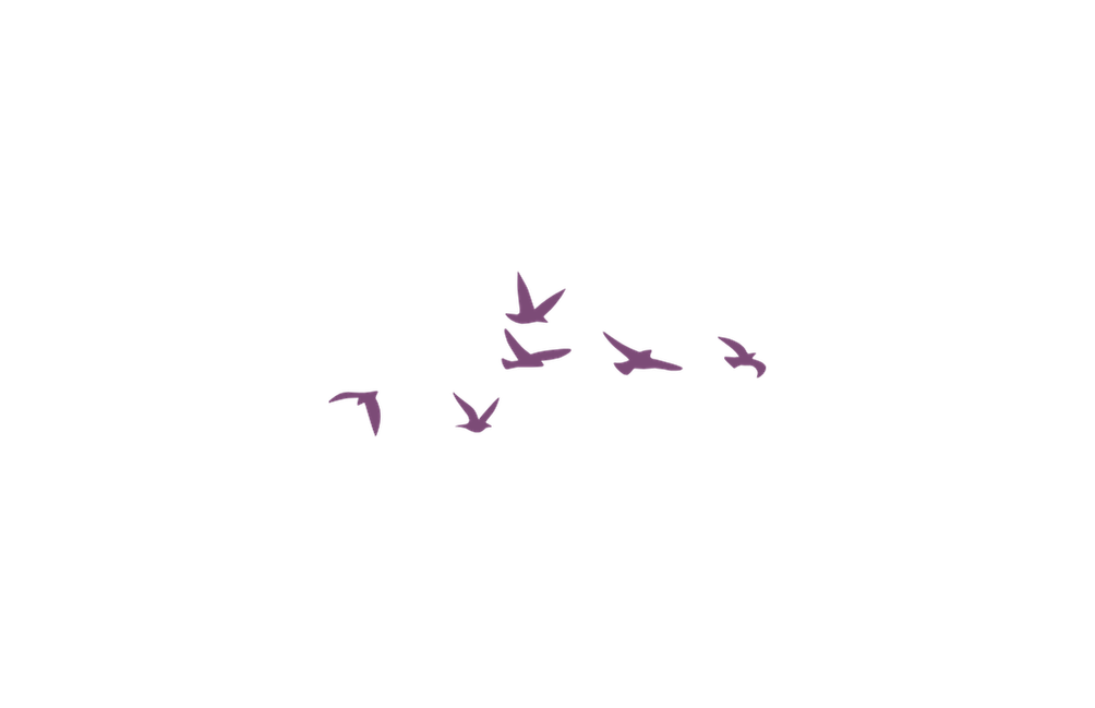 Illustration of a flock of purple birds flying in formation against a black background.