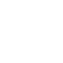 Ironroot.png