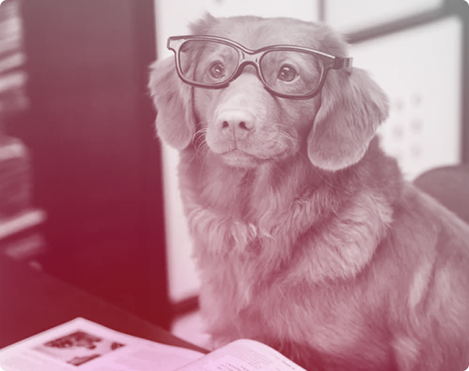 spark PR consumer agency news