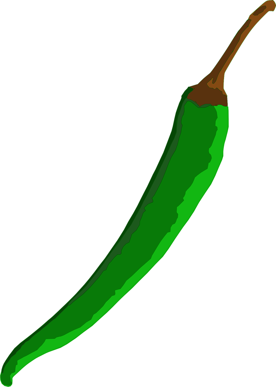 serrano-pepper.png