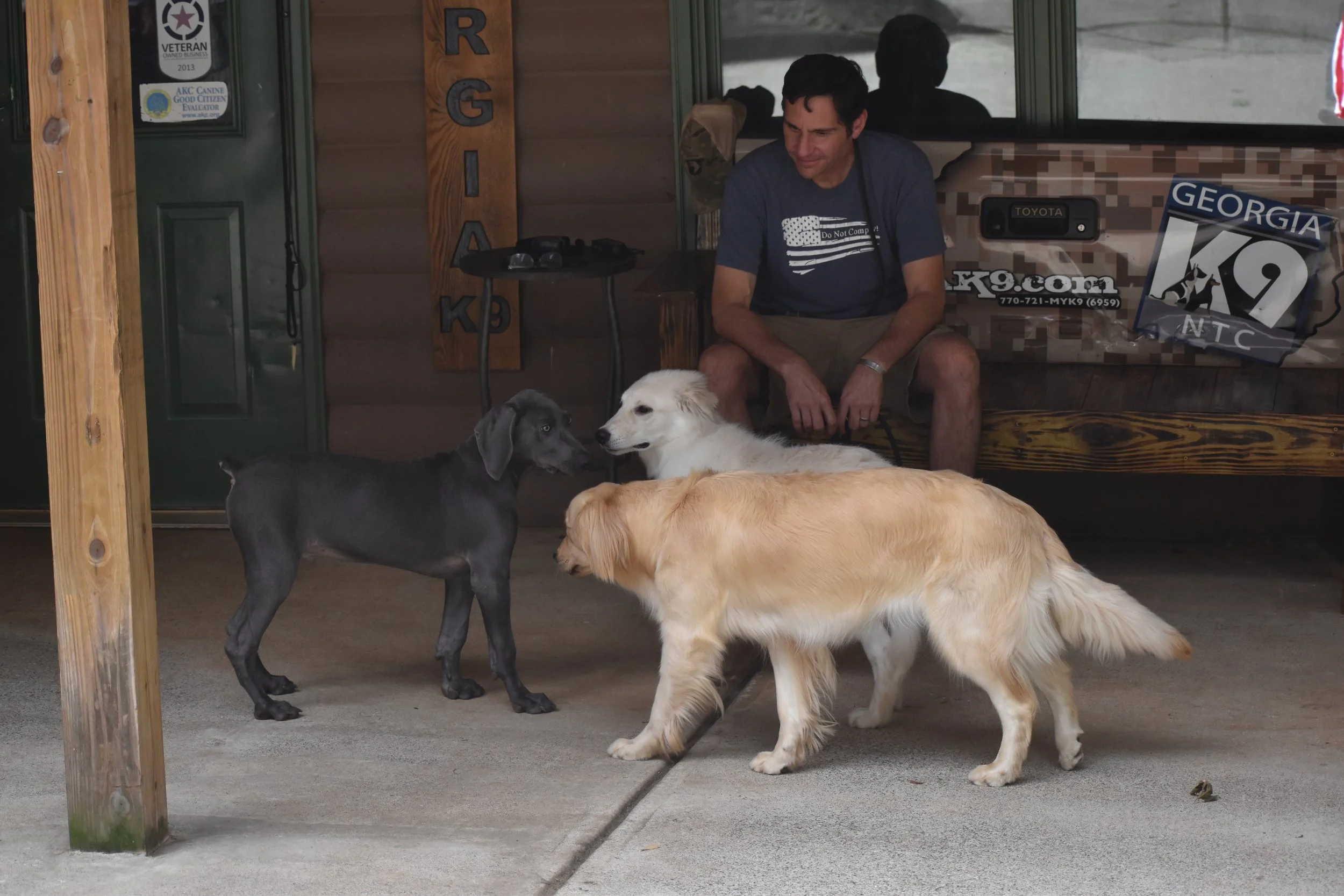A man sitting on a porch with three dogs, a black one, a white one, and a golden retriever, in front of a wooden building with signs and a camouflage-covered table behind him.