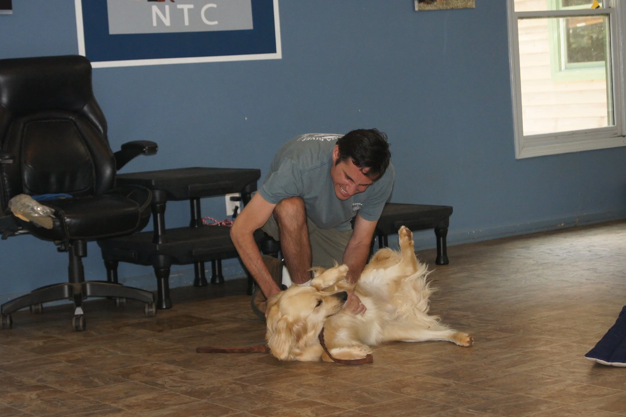 A man is playing with a golden retriever dog lying on the wooden floor of a room with blue walls and a window. The dog is on its back and the man is smiling, leaning over, and holding the dog's paws.
