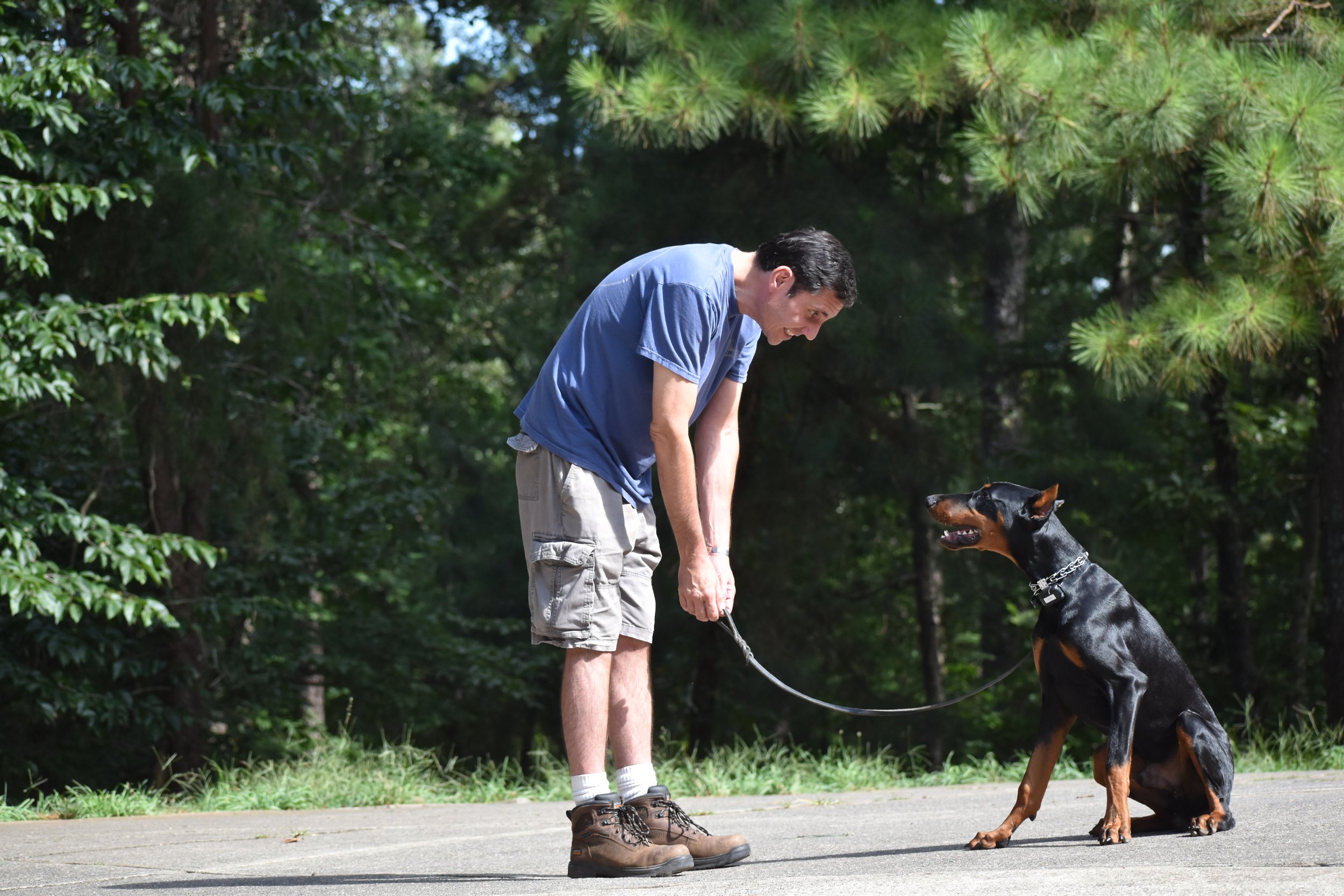 A man in a blue shirt and beige shorts bending down, interacting with a large black and tan dog on a leash, outdoors in a park surrounded by green trees.