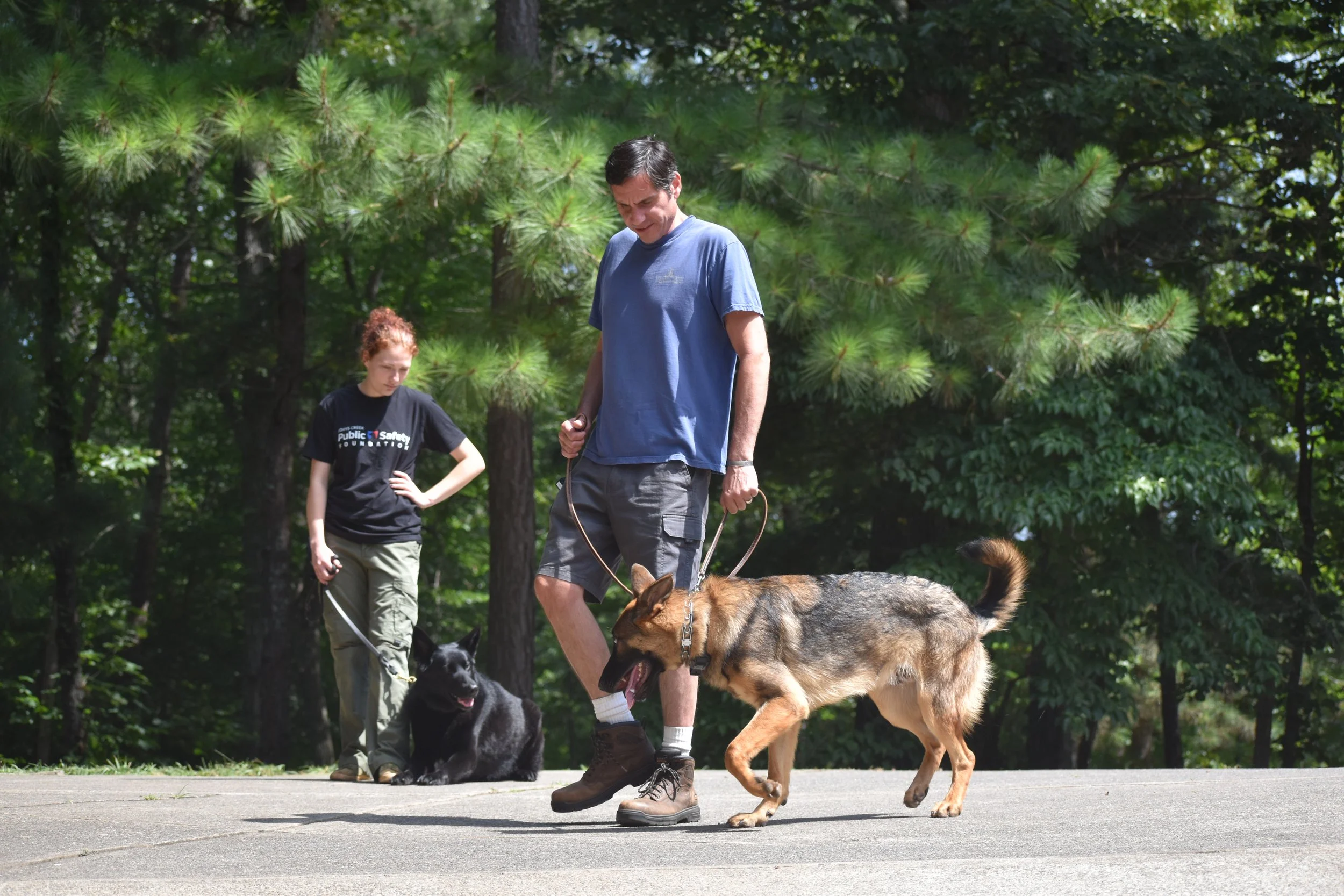 Two adults and a child walking their dogs in a park. The man in a blue shirt and gray shorts is holding a leash with a German Shepherd. A woman in a black t-shirt and beige pants is holding a leash with a black and white dog. Tall trees with green foliage surround them.