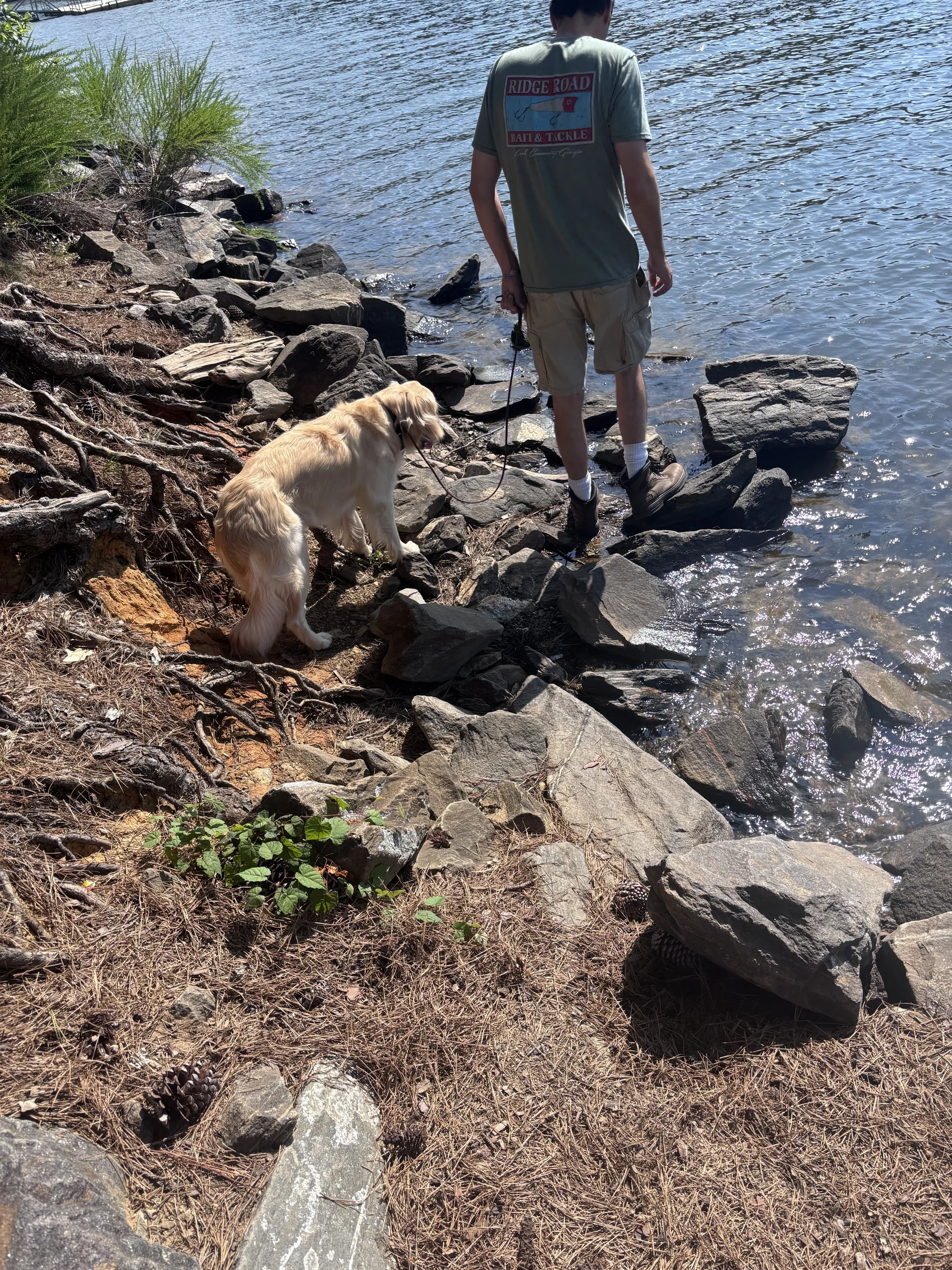 A man and a golden retriever walking along a rocky lakeshore on a sunny day.