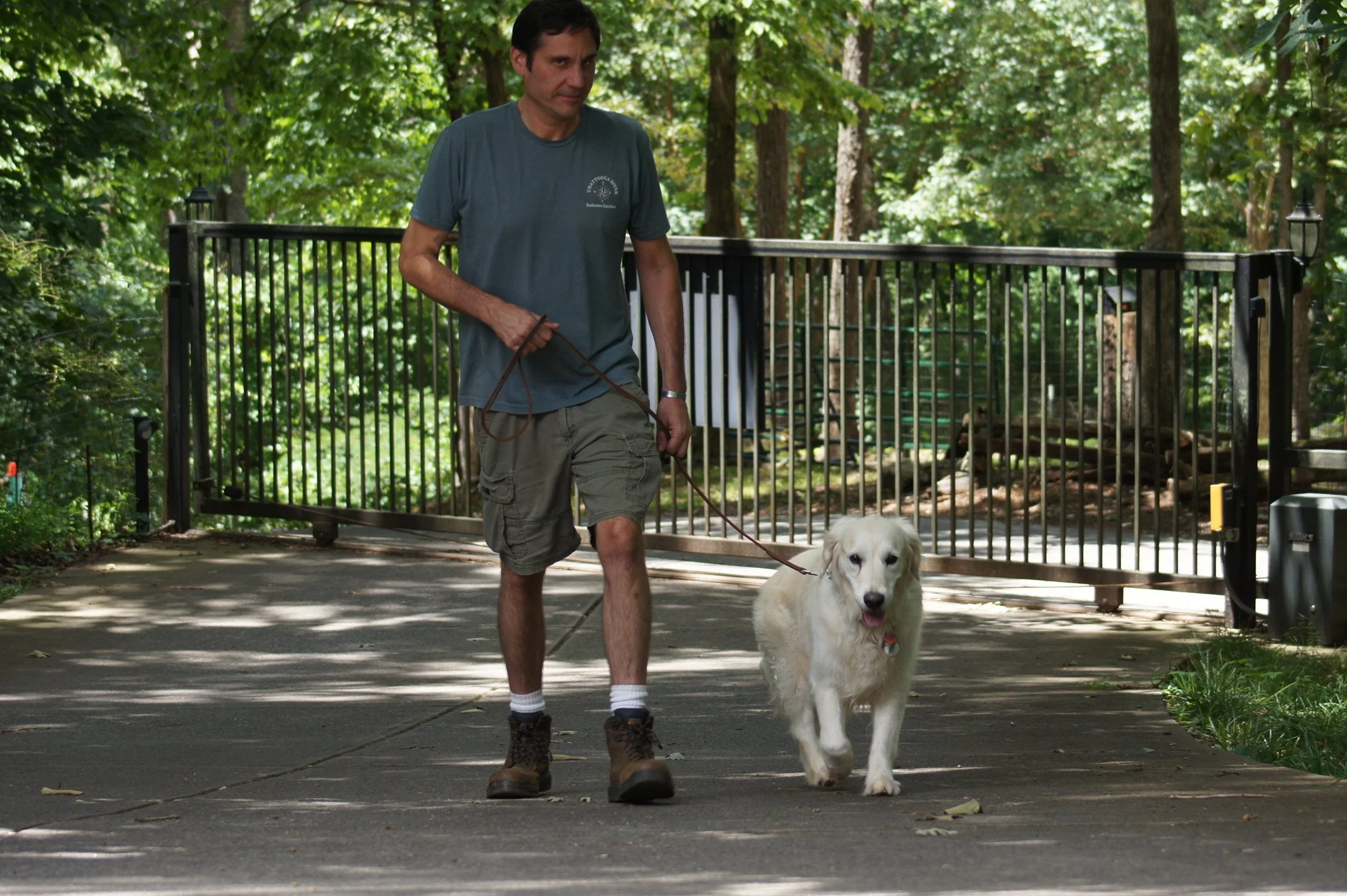 A man walking a golden retriever dog on a leash in a forested park area with trees and a black iron fence in the background.