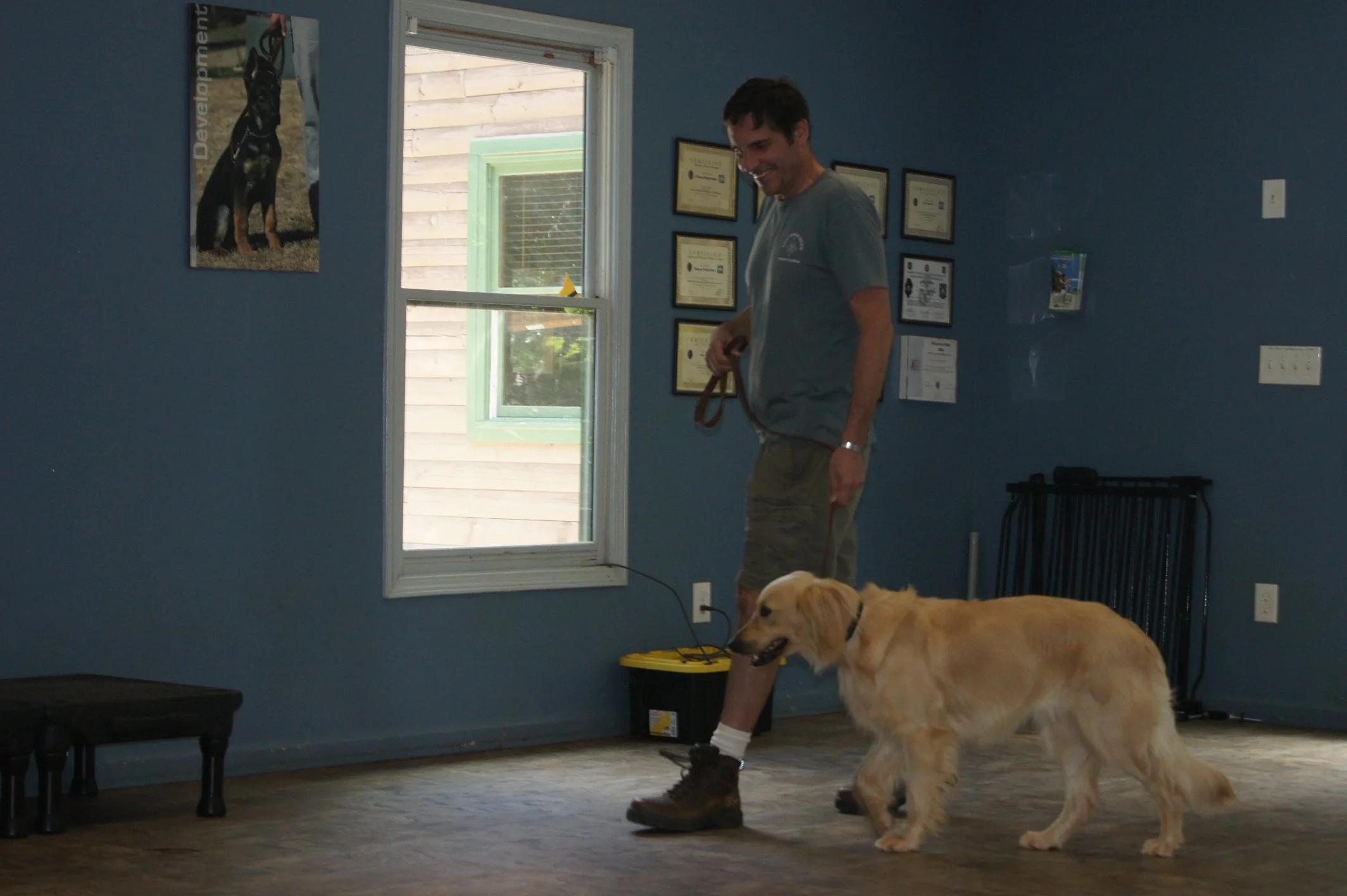 A man standing indoors with a dog on a leash, near a window, against a wall with framed certificates, with a Labrador Retriever dog in the foreground.