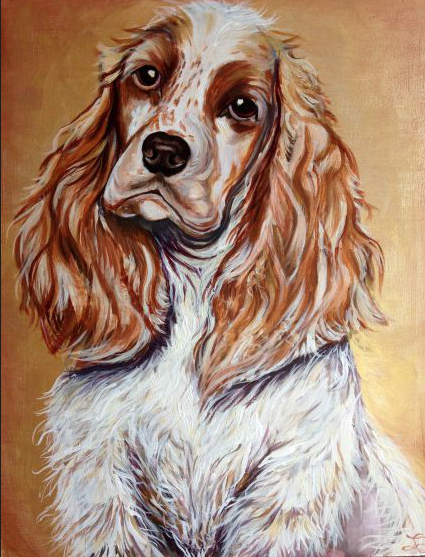 dogportait2.png