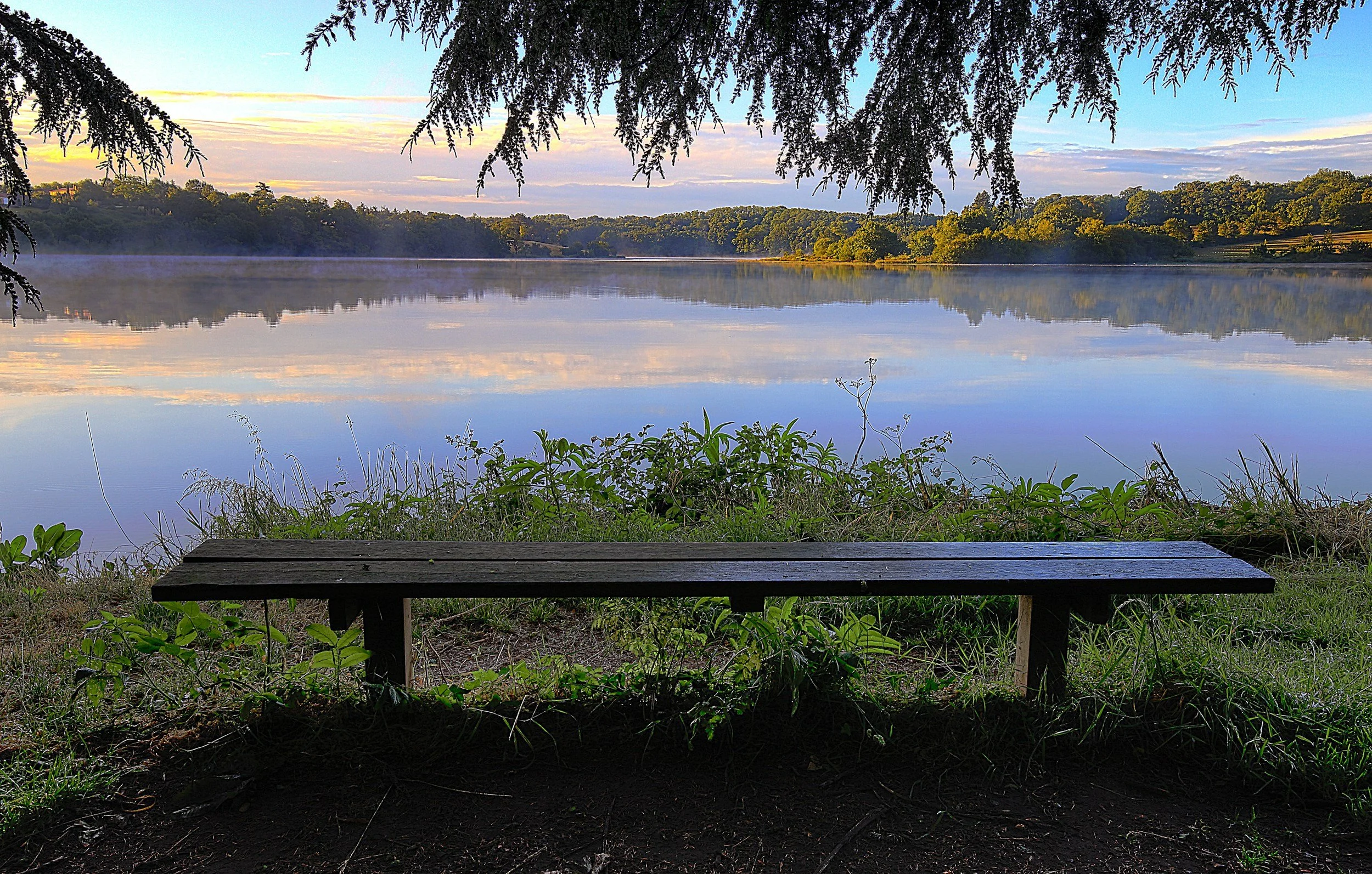 A lakeside scene during sunrise or sunset, with fog over the water, trees on the opposite shore, a bench in the foreground, and tree branches overhead.