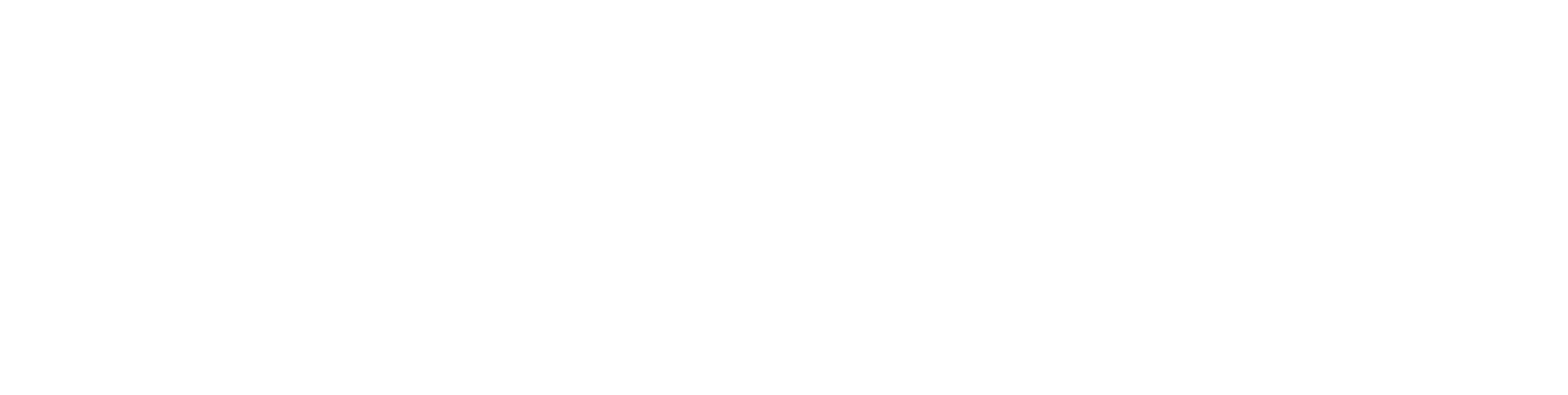 Stanziano Group