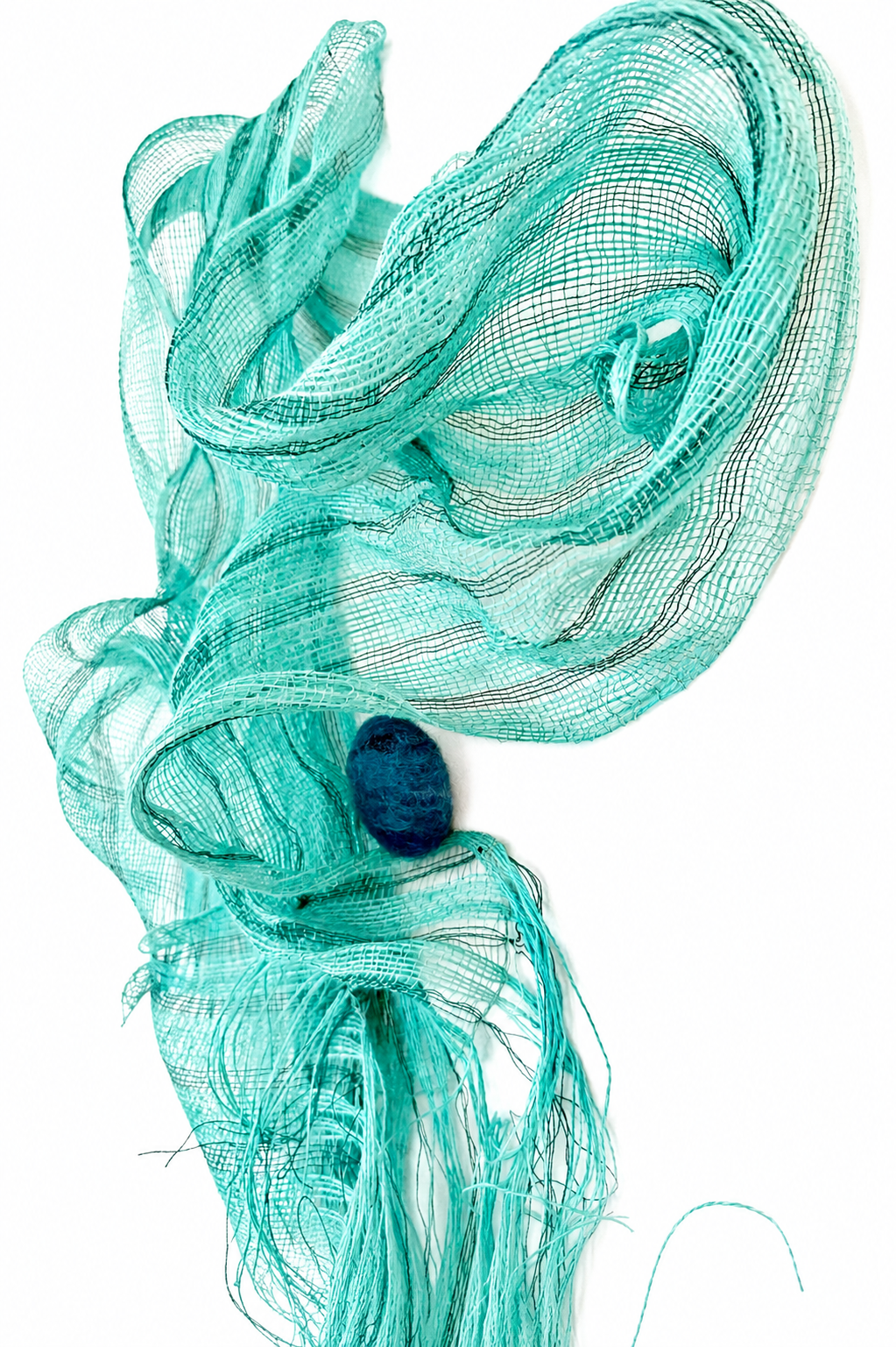 teal on white backdrop.png
