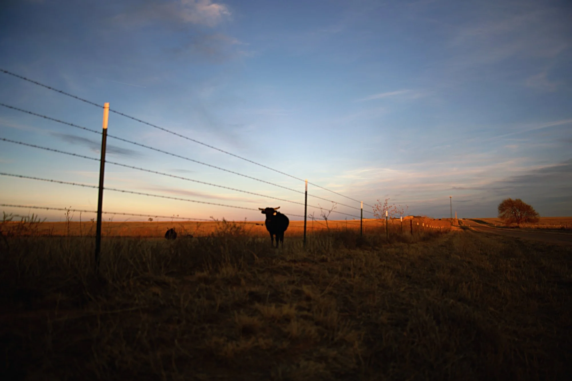 BlueHour_GoldenFence_36x24_METAL_web.jpg
