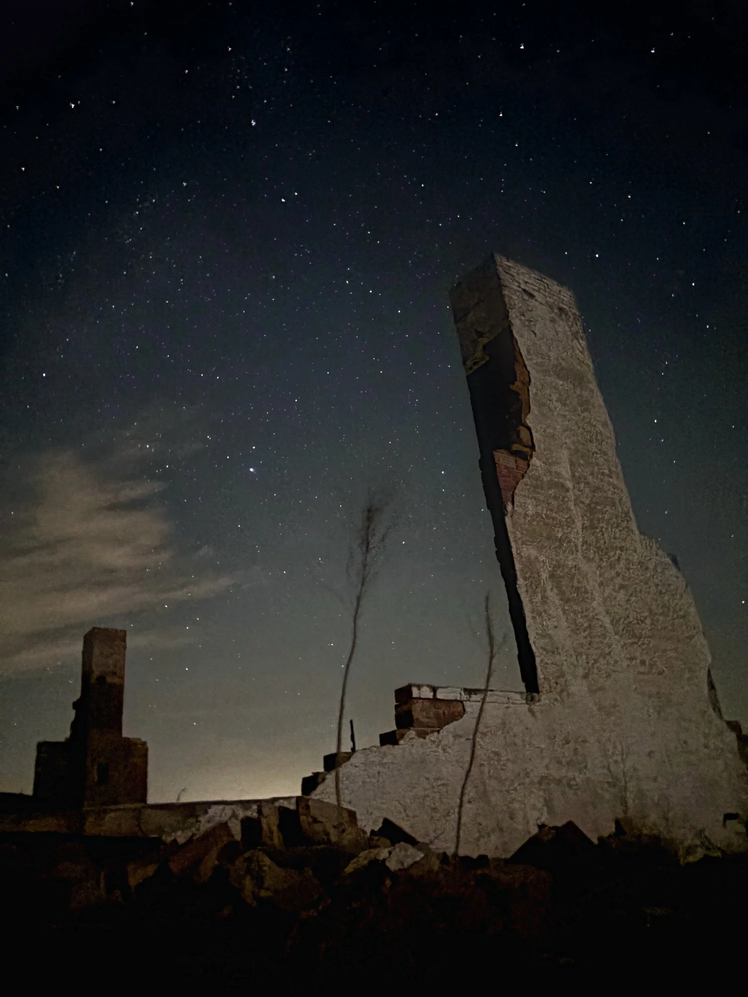 Ruins_Monolith_Saplings_30x40_METAL_web.jpg