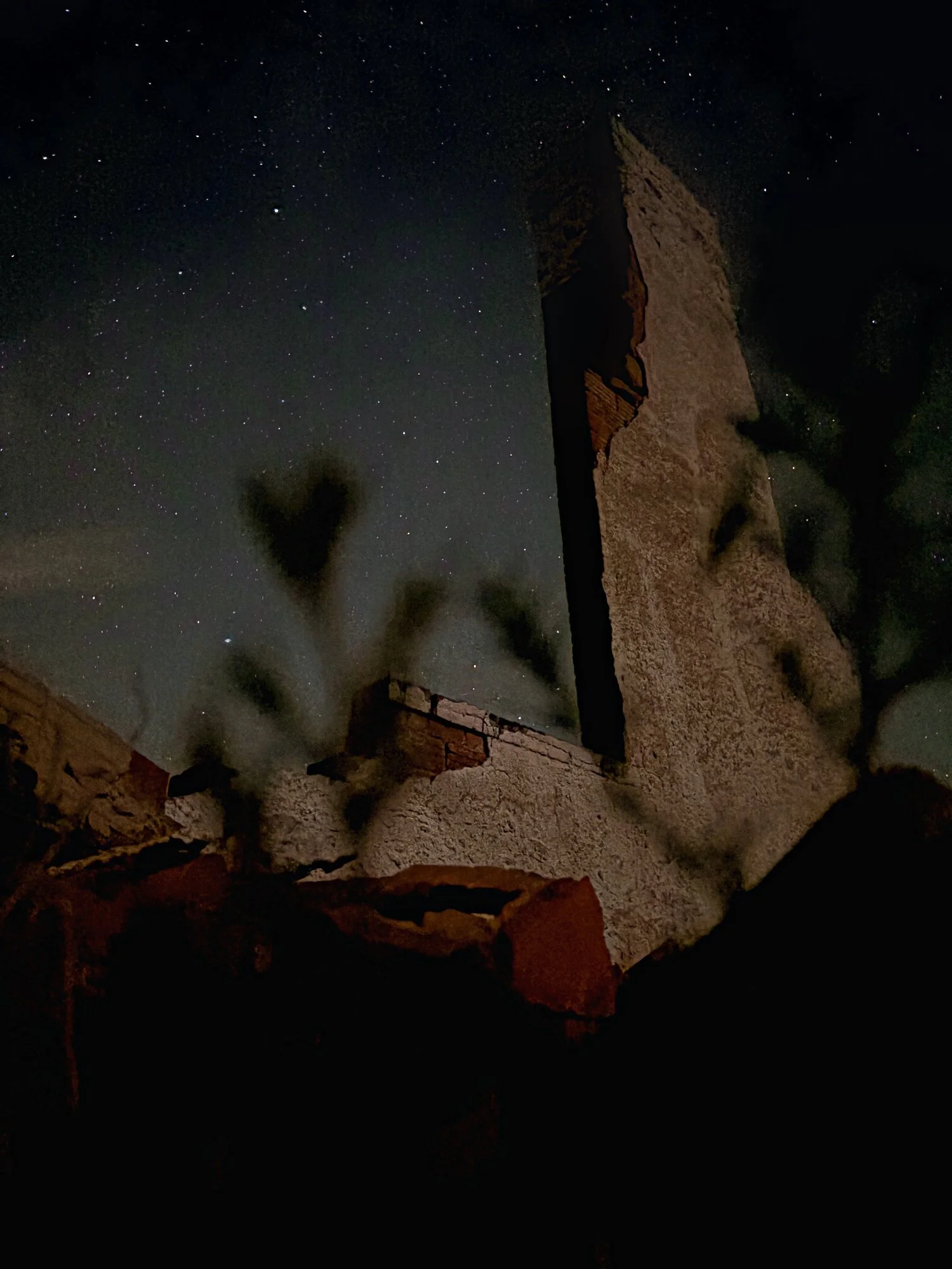 Ruins_ThroughBranches_18x24_CANVAS_web.jpg