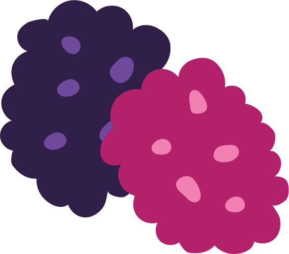 Two colorful berries, one purple and one pink, with smooth textured surfaces.