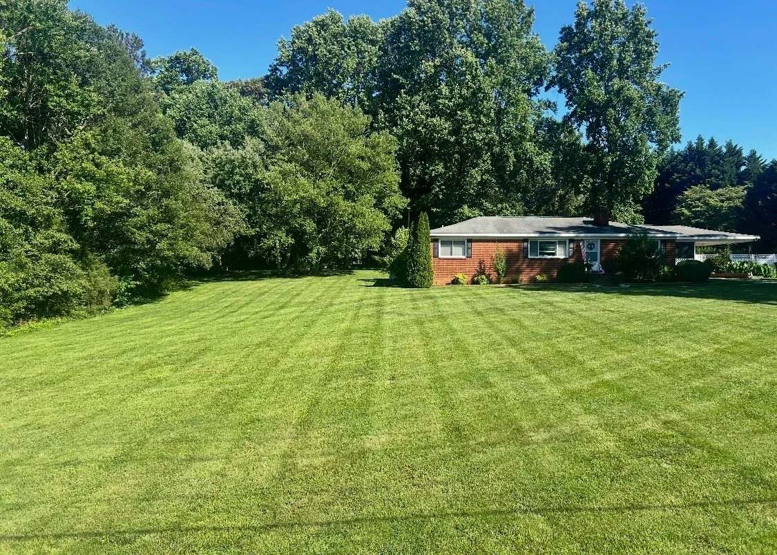 Clean Lines, Beautiful Lawns