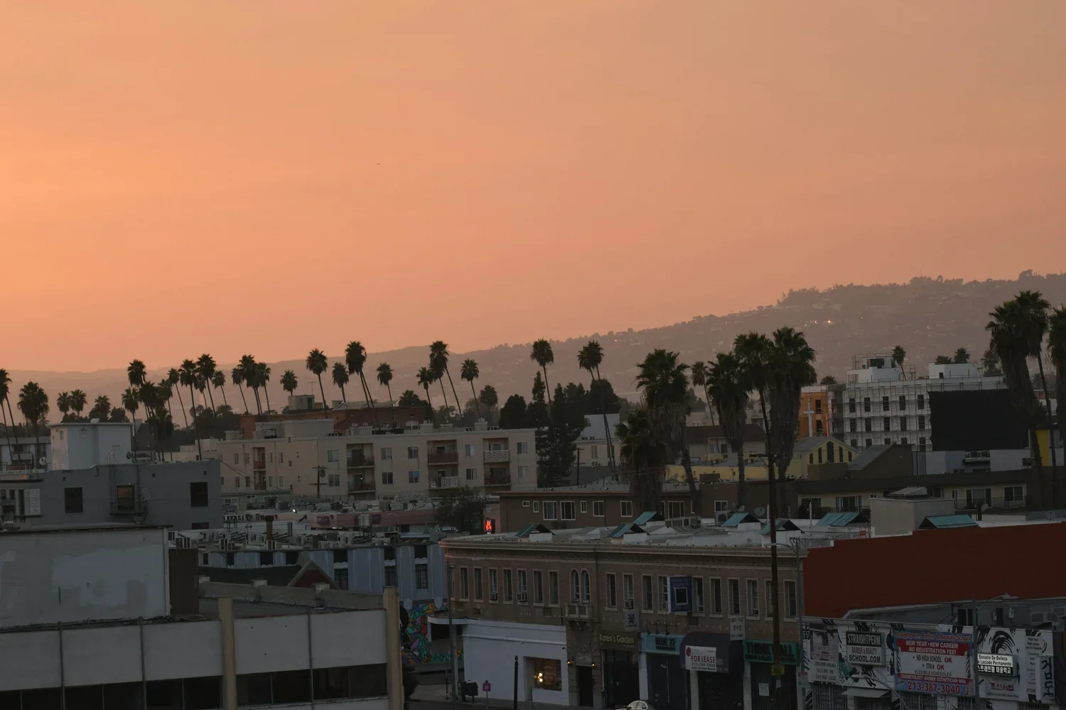 Cityscape at sunset with buildings and palm trees against a pink-orange sky and distant mountains.