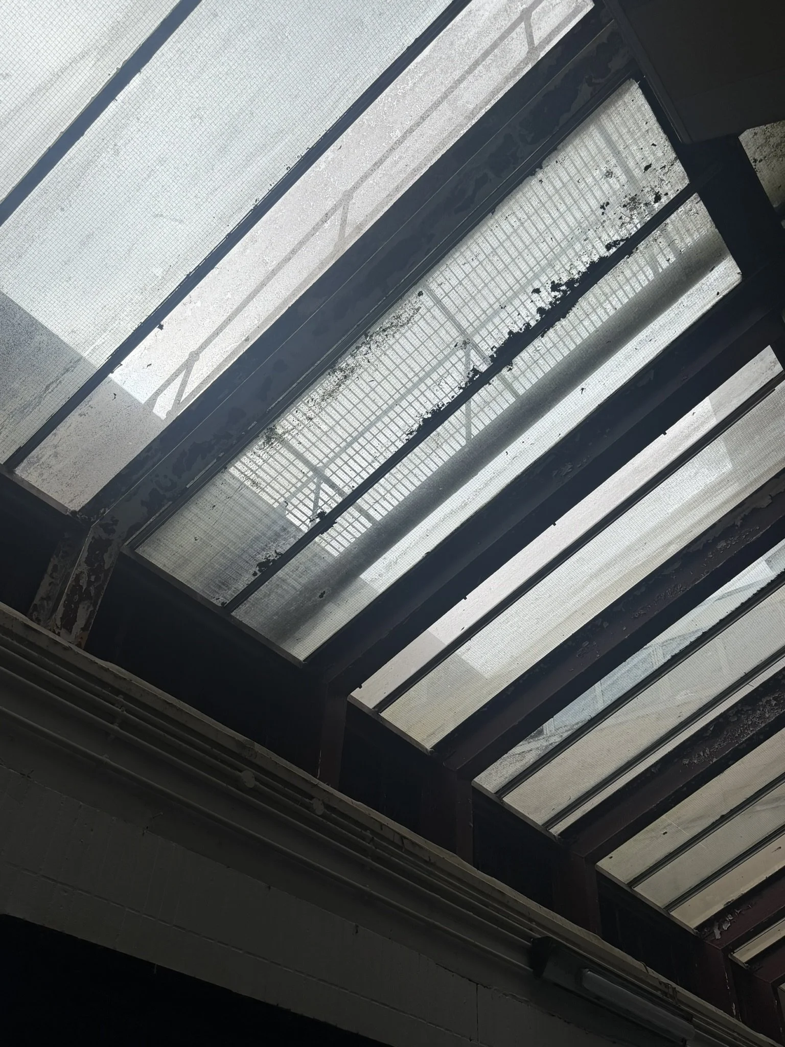 Skylights in Allander Walk