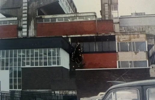 A shot of the Phase One building with a Christmas tree sticking out of the side (!)