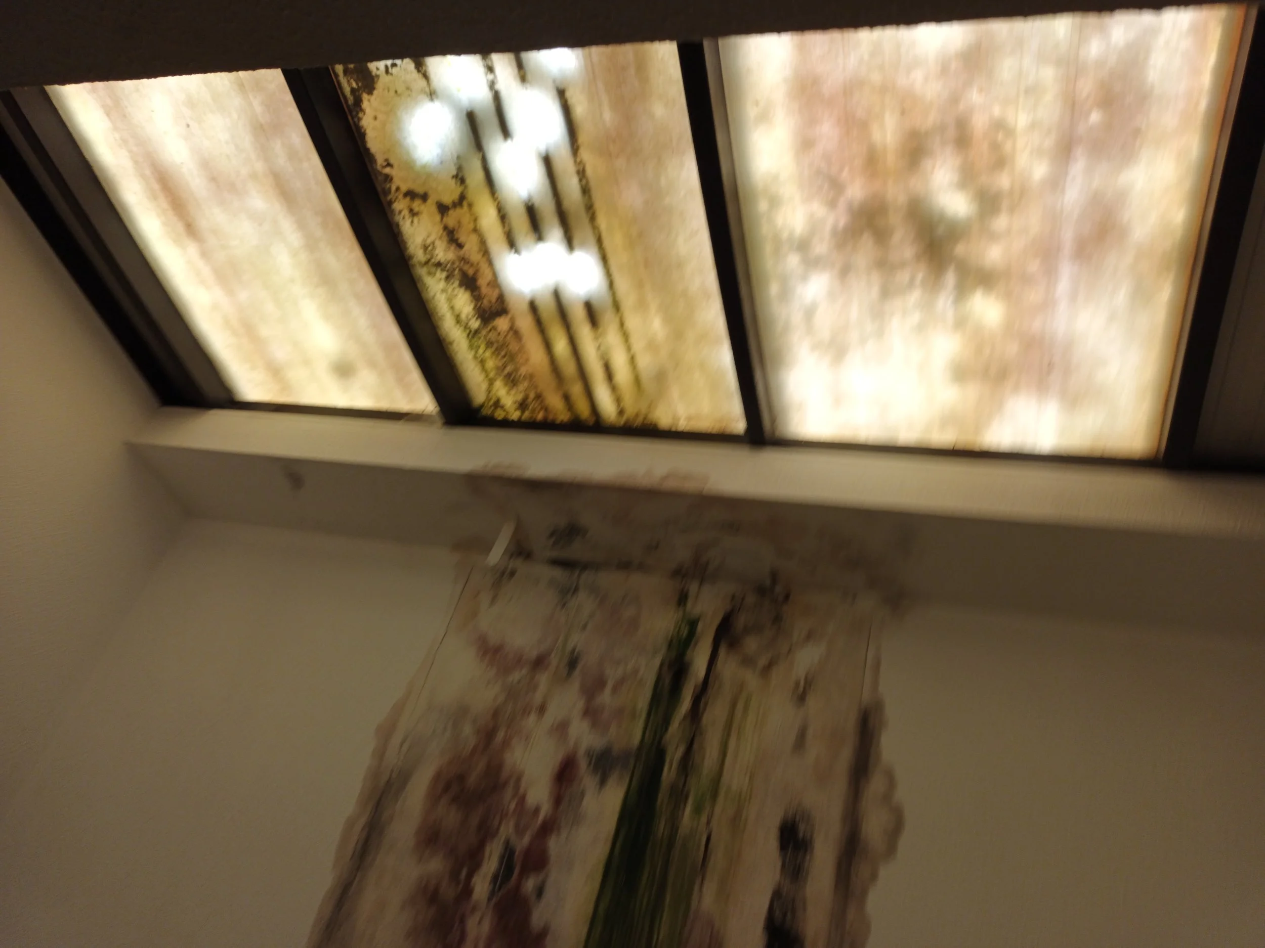 20220730_104359.jpg