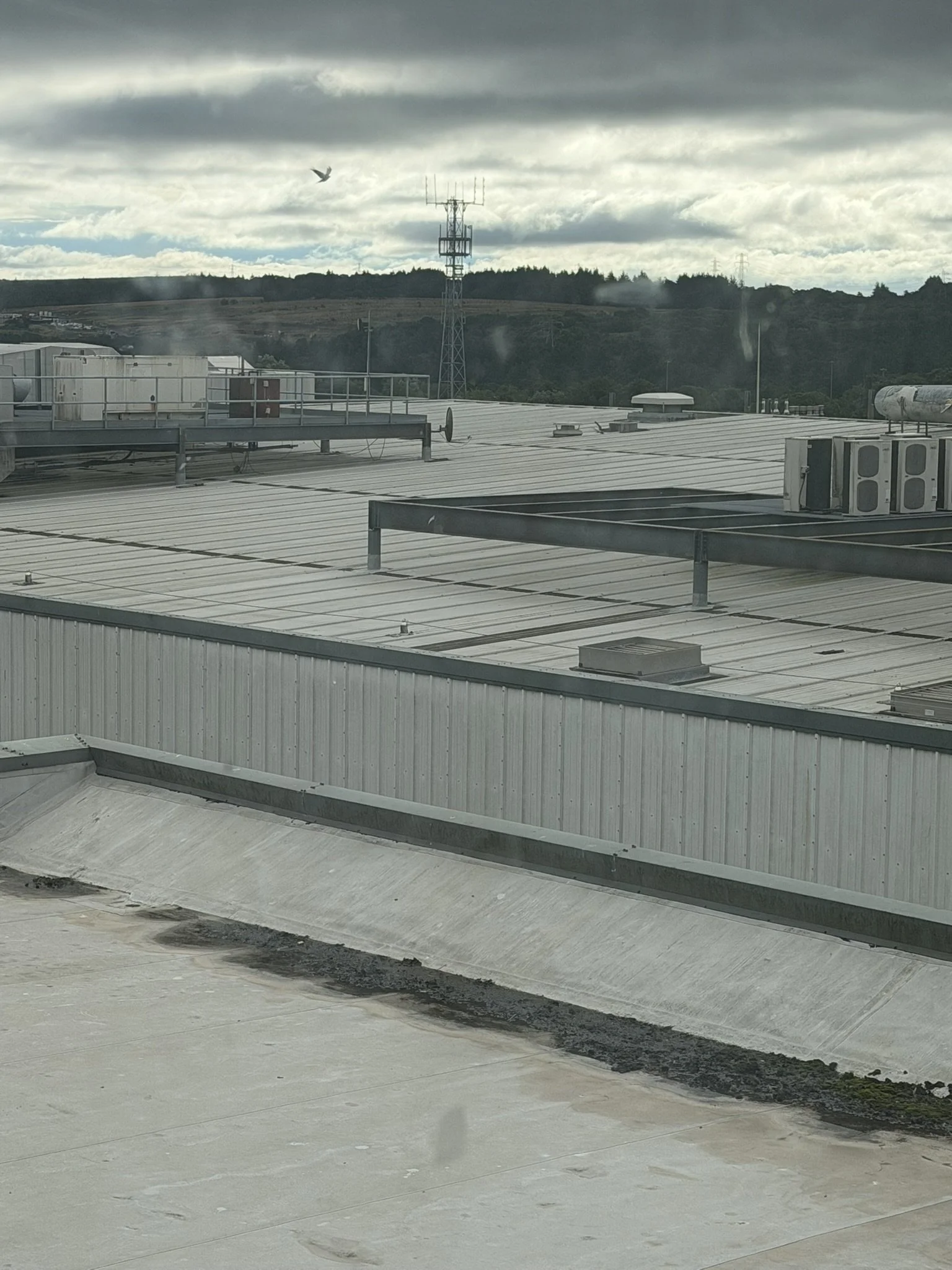 Rooftop