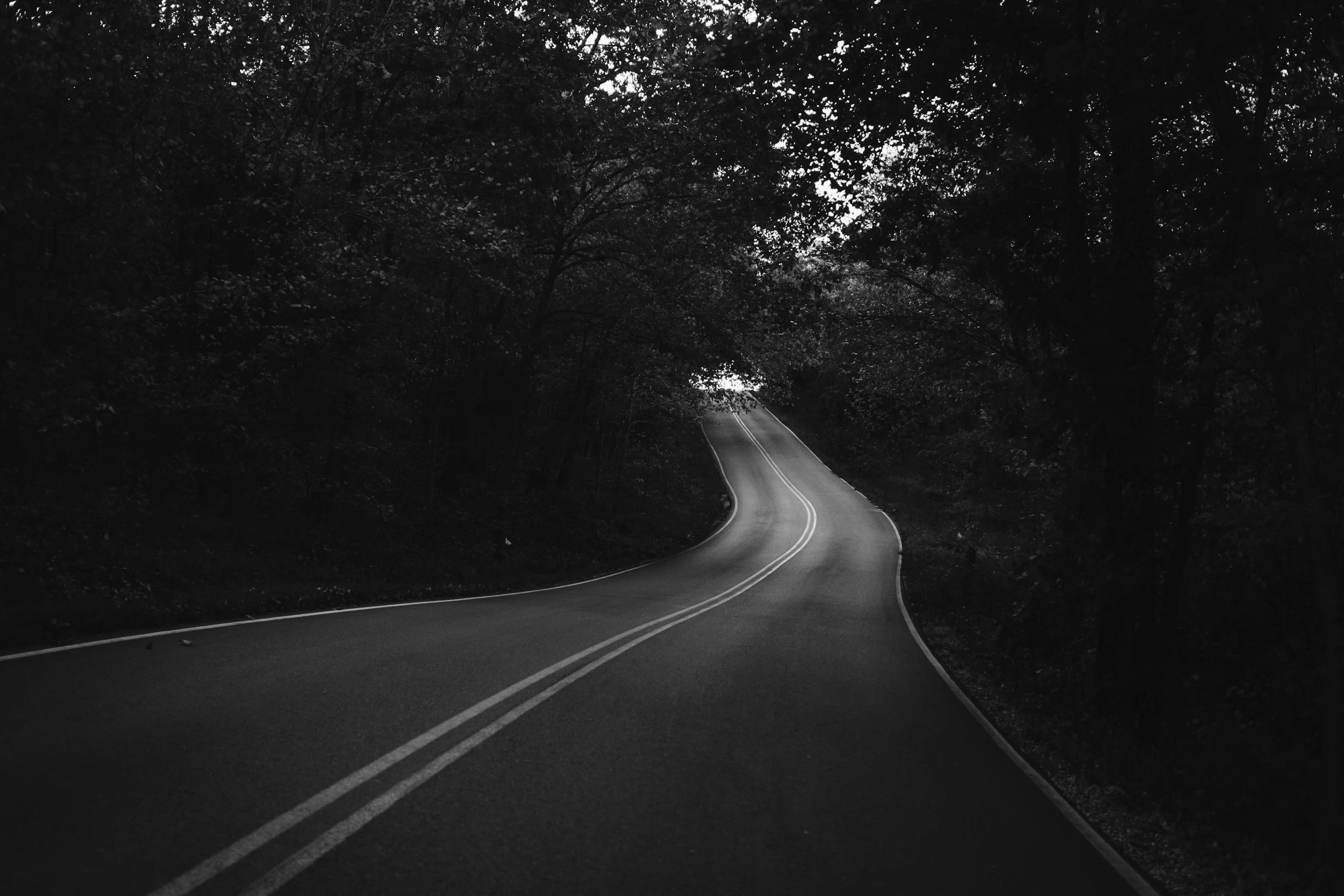 A winding road cutting through a dense forest with tall trees on both sides, the scene appears dark and shadowy.
