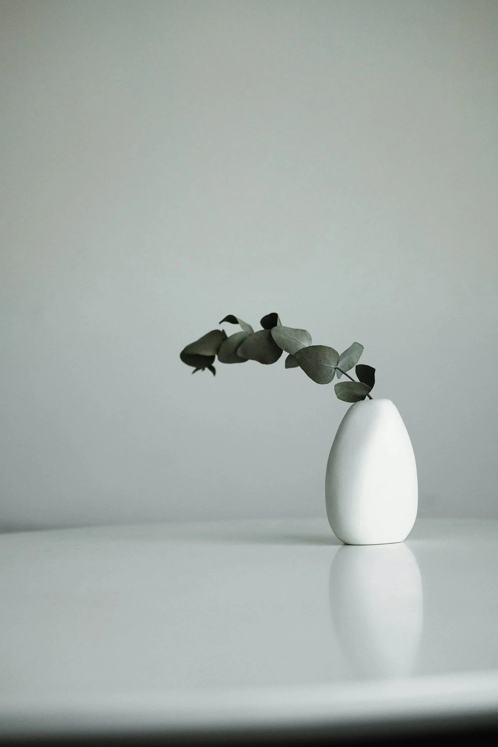 A white ceramic vase with a minimalist design holds a branch with dried eucalyptus leaves, against a plain, light gray background.