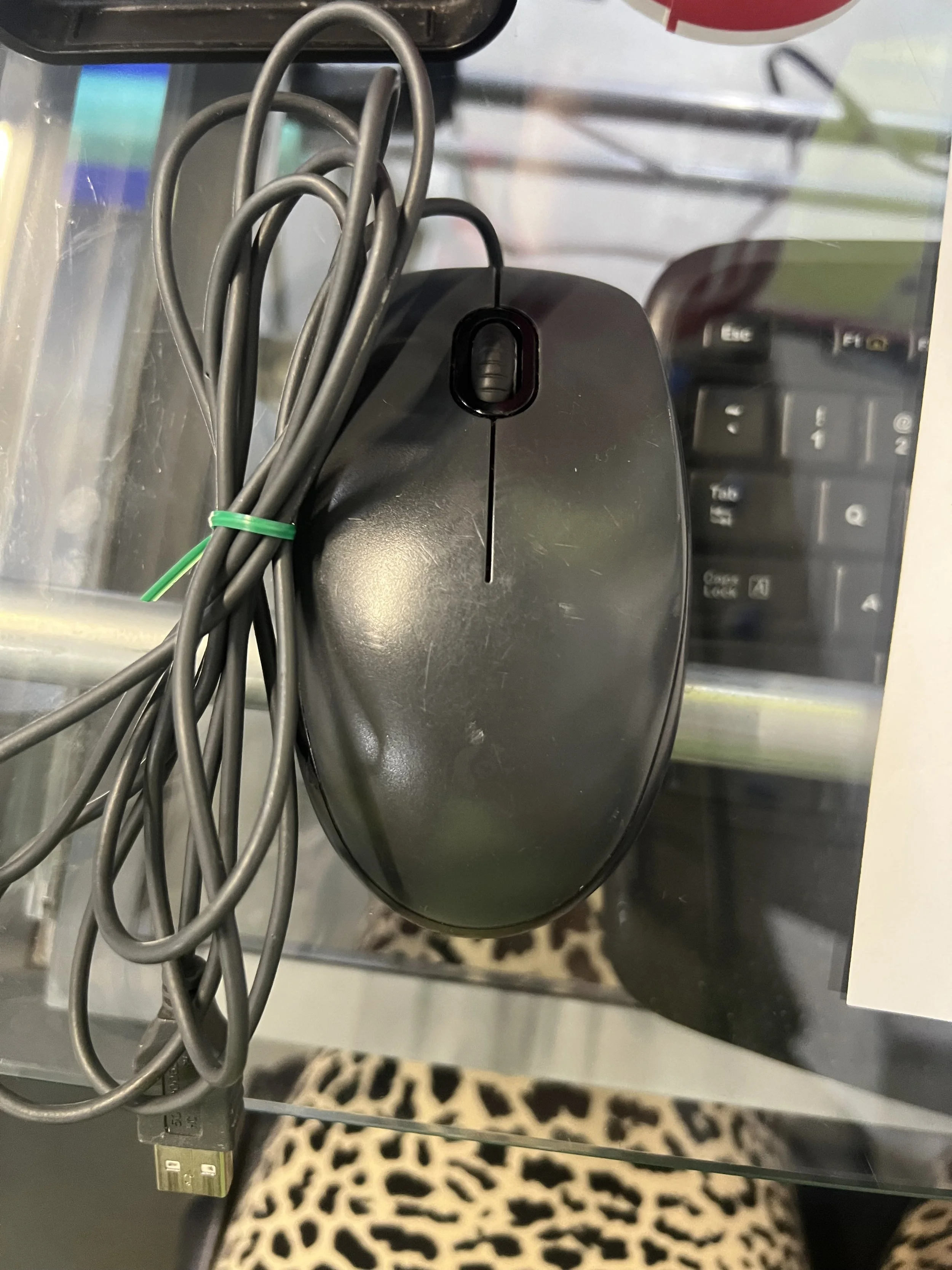 Logitech M100 Optical USB Mouse