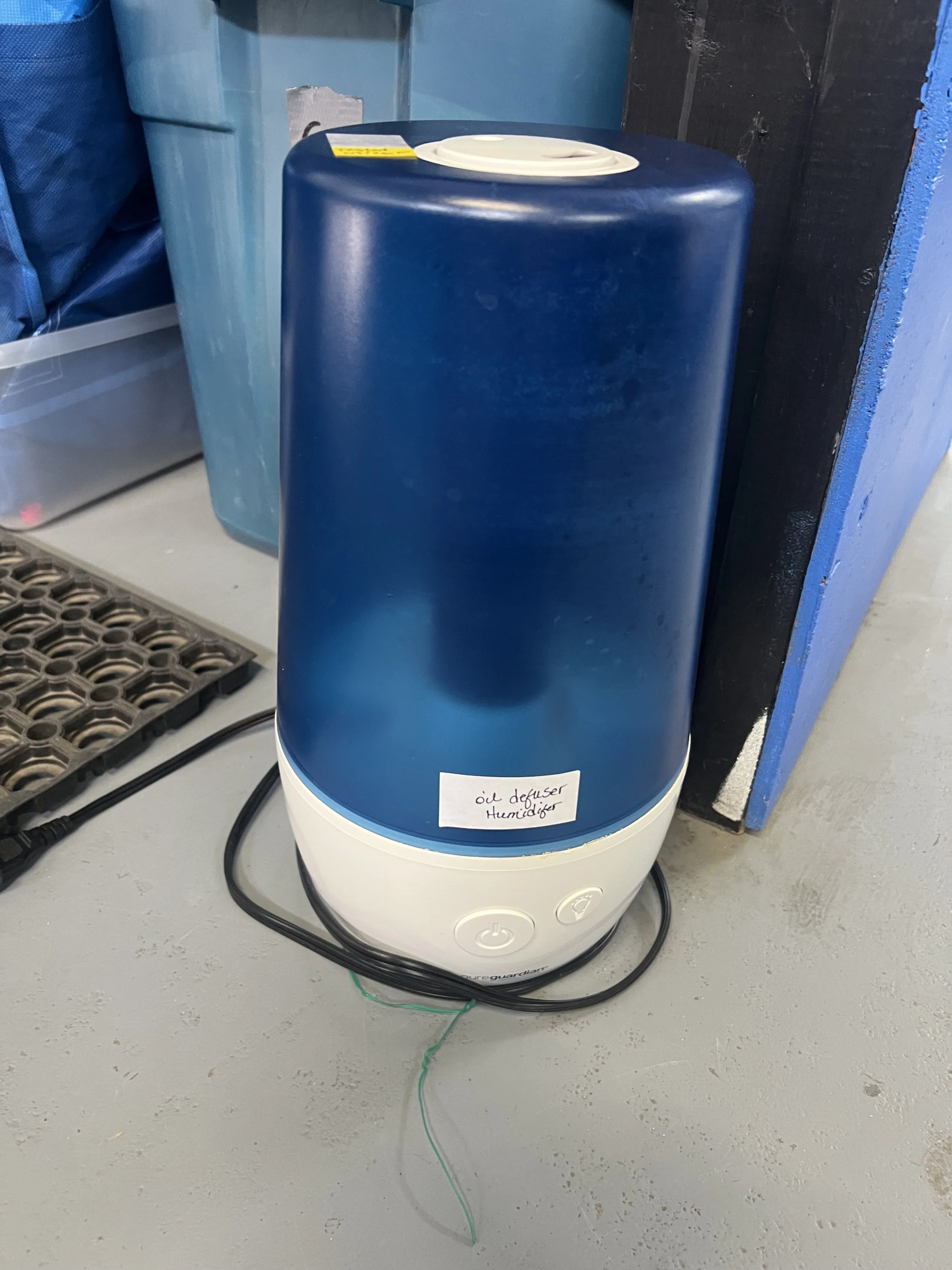 Oil infused Humidifier