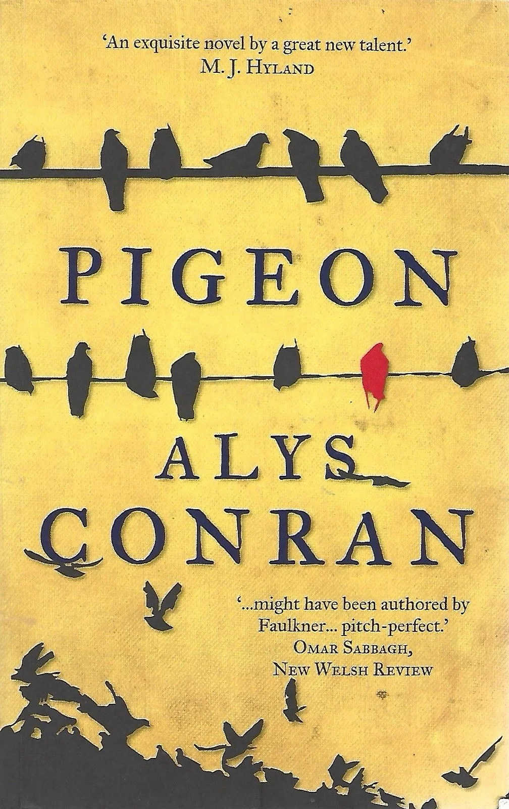 Pigeon