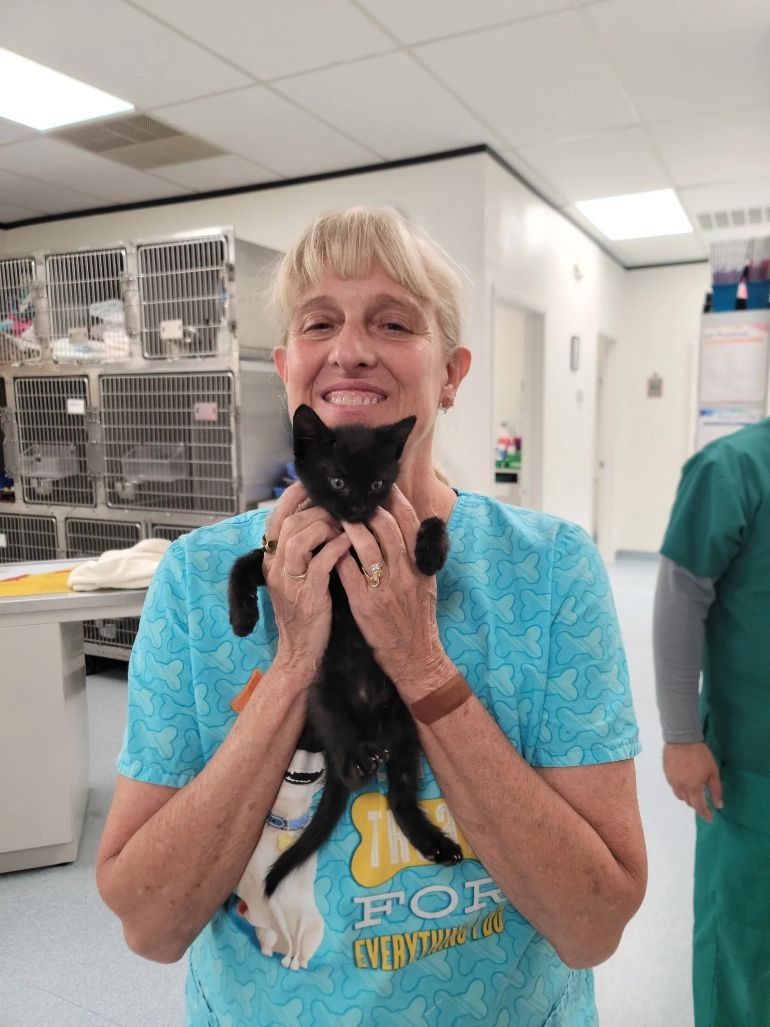 ACES veterinarian holding a black kitten.