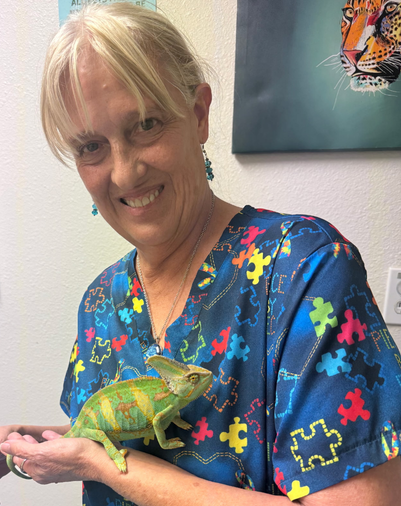 ACES veterinarian, Dr. Kessler, holding a chameleon during an exotic-pet visit.
