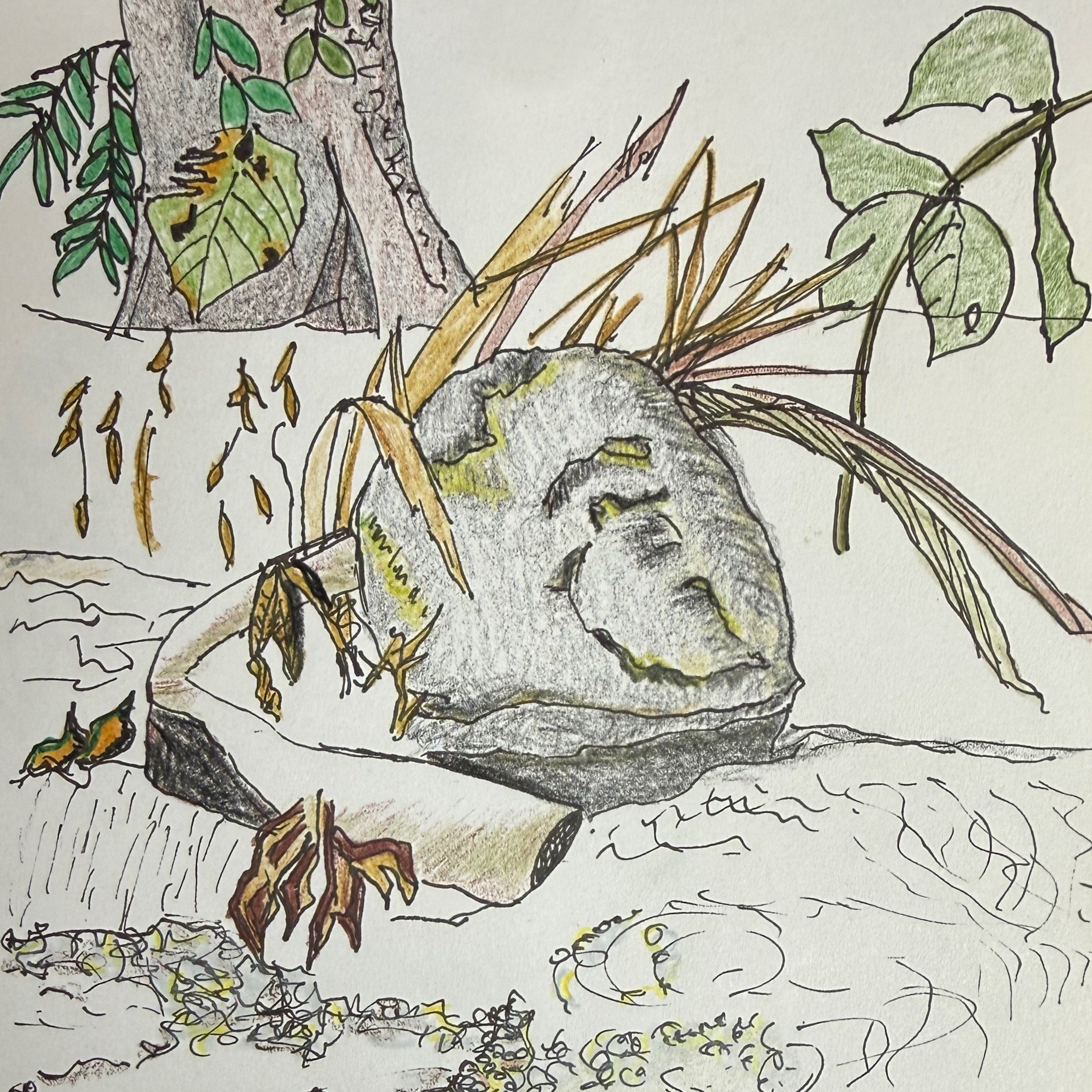 river rock (costa rica). ink & color pencil, sketchbook. 2026.