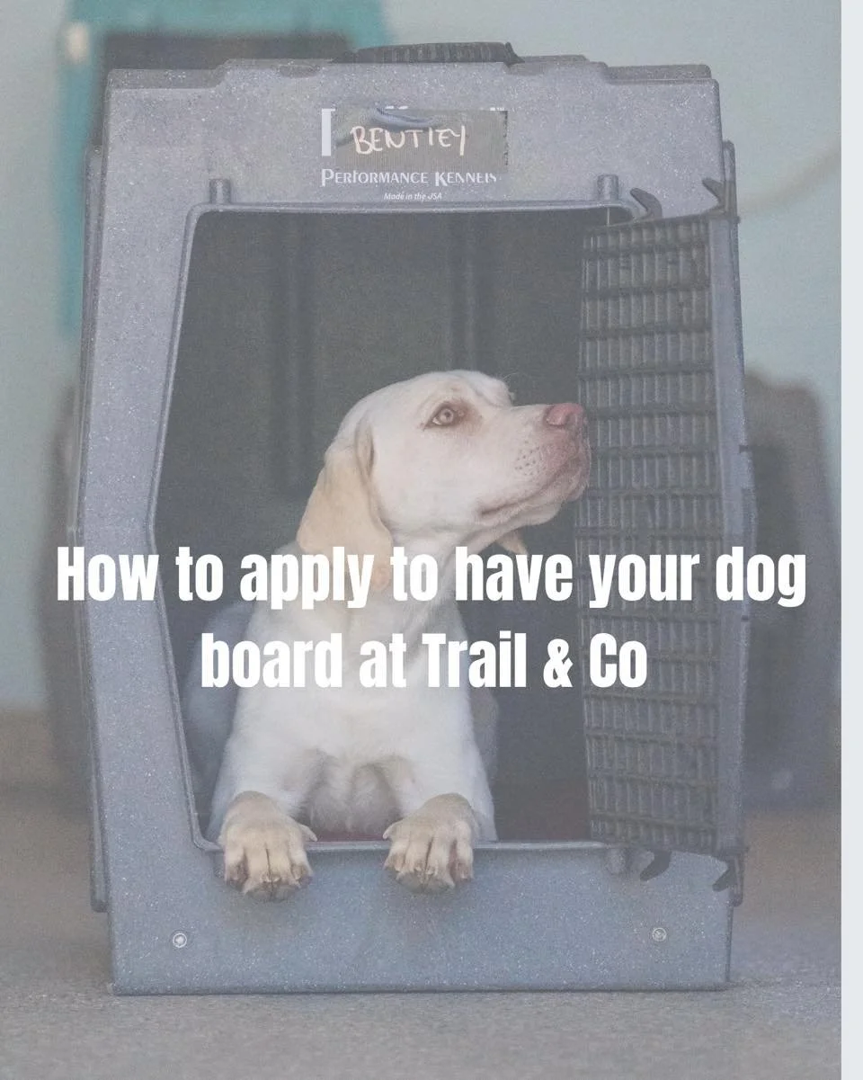 Your dog&rsquo;s first stay starts with getting to know them. 

At Trail &amp; Co., we believe the best boarding experiences start with the right fit. That&rsquo;s why every dog begins with a First Stay Evaluation before being approved for future sta