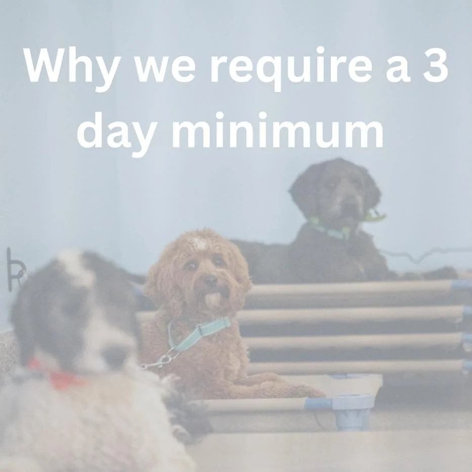 Why a three-day minimum? It comes down to one thing: your dog&rsquo;s experience. 

Imagine arriving somewhere new. New smells, new surroundings, new routines, and people you&rsquo;re still getting to know.

Even when it&rsquo;s a wonderful place, it