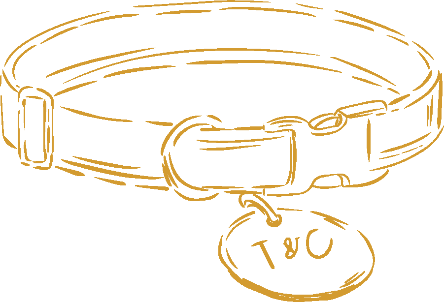 Line drawing of a dog collar with a tag engraved with the initials 'T & C'.