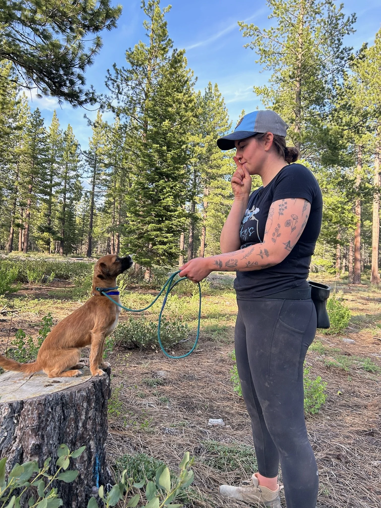A woman with tattoos on her arm and wearing a grey cap and black t-shirt is standing outdoors with a dog. The woman is holding a green leash connected to the dog, which is sitting on a tree stump. The background features many tall pine trees and a blue sky.