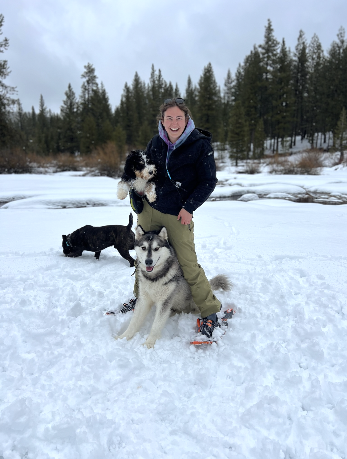 A woman smiling and holding a black and white puppy in her arms, standing on snow next to a Siberian Husky dog, with a forest of evergreen trees in the background on a cloudy winter day.