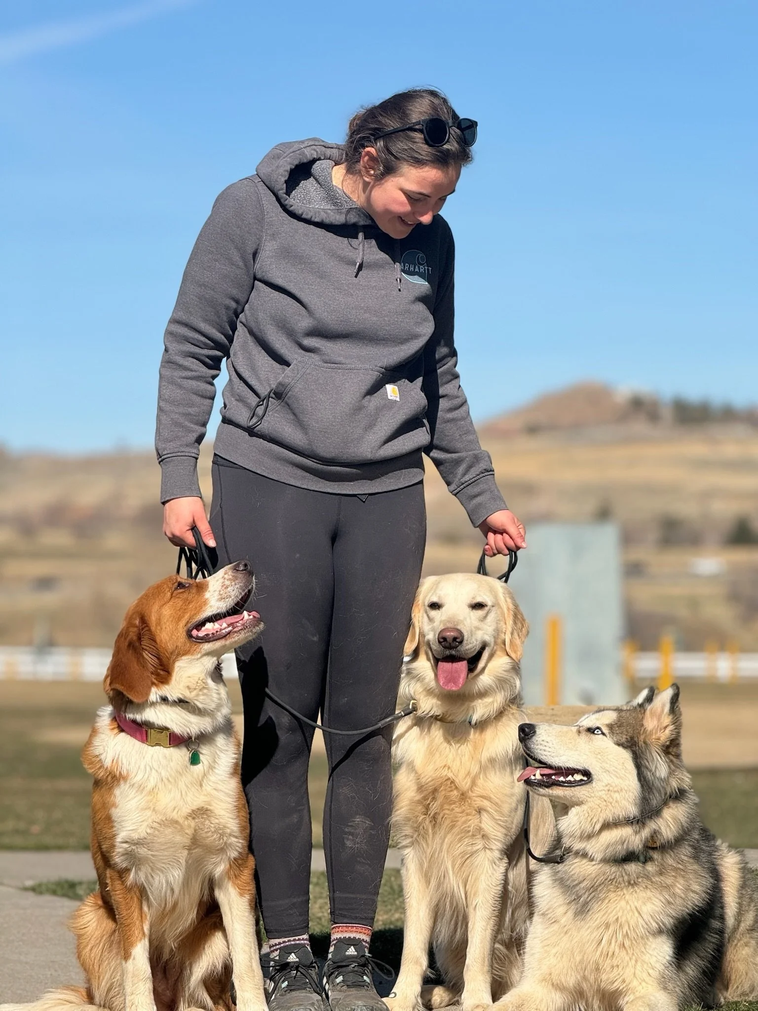 skye trail & co dog training and boarding