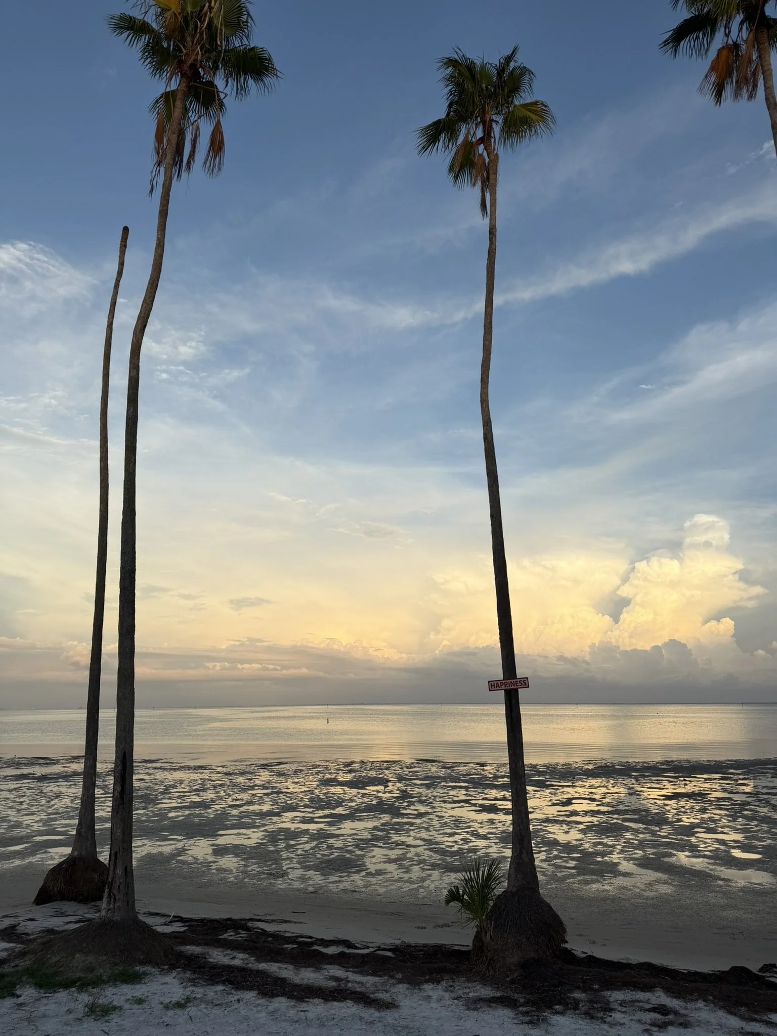 IMG_2078.JPEG