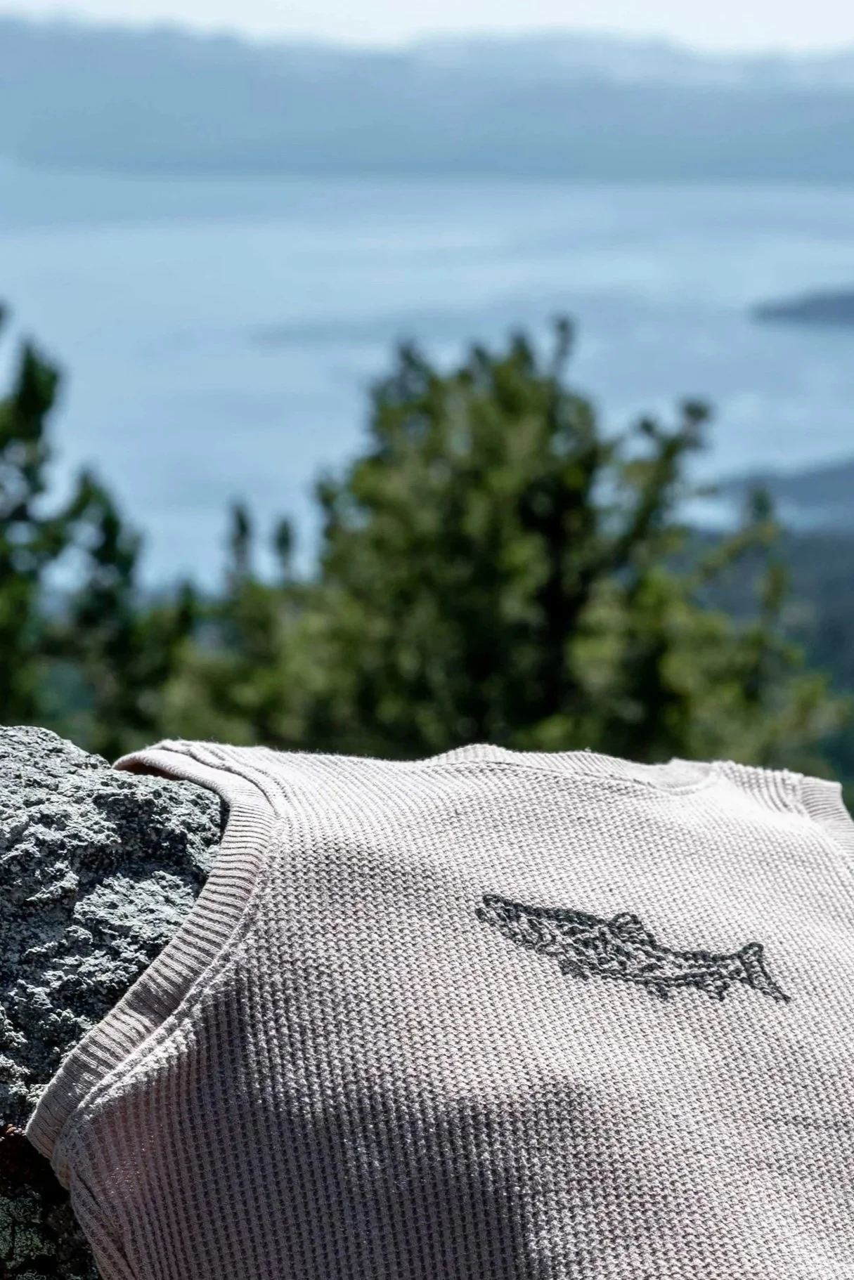 A fish print tank top draped over a rough gray stone, with a blurred background of green trees and a blue sky with clouds.